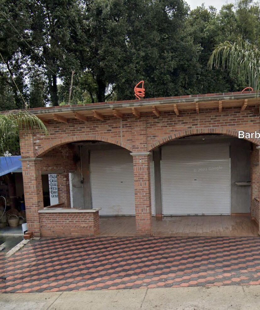 Barbacoa y Consomé El rubio. image 4