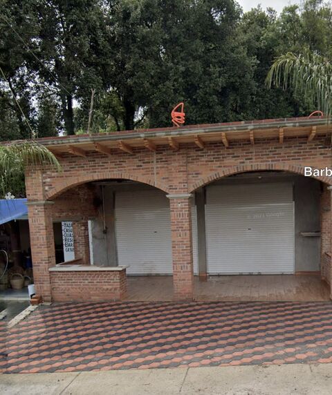 Barbacoa y Consomé El rubio. image 4
