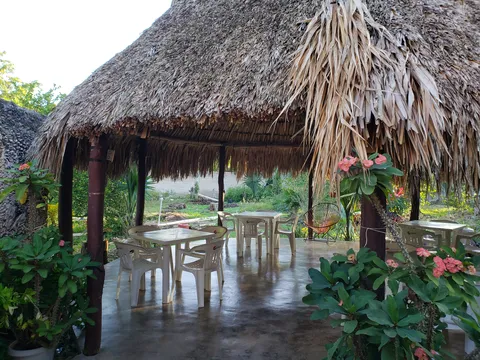 El Abuelo image 3