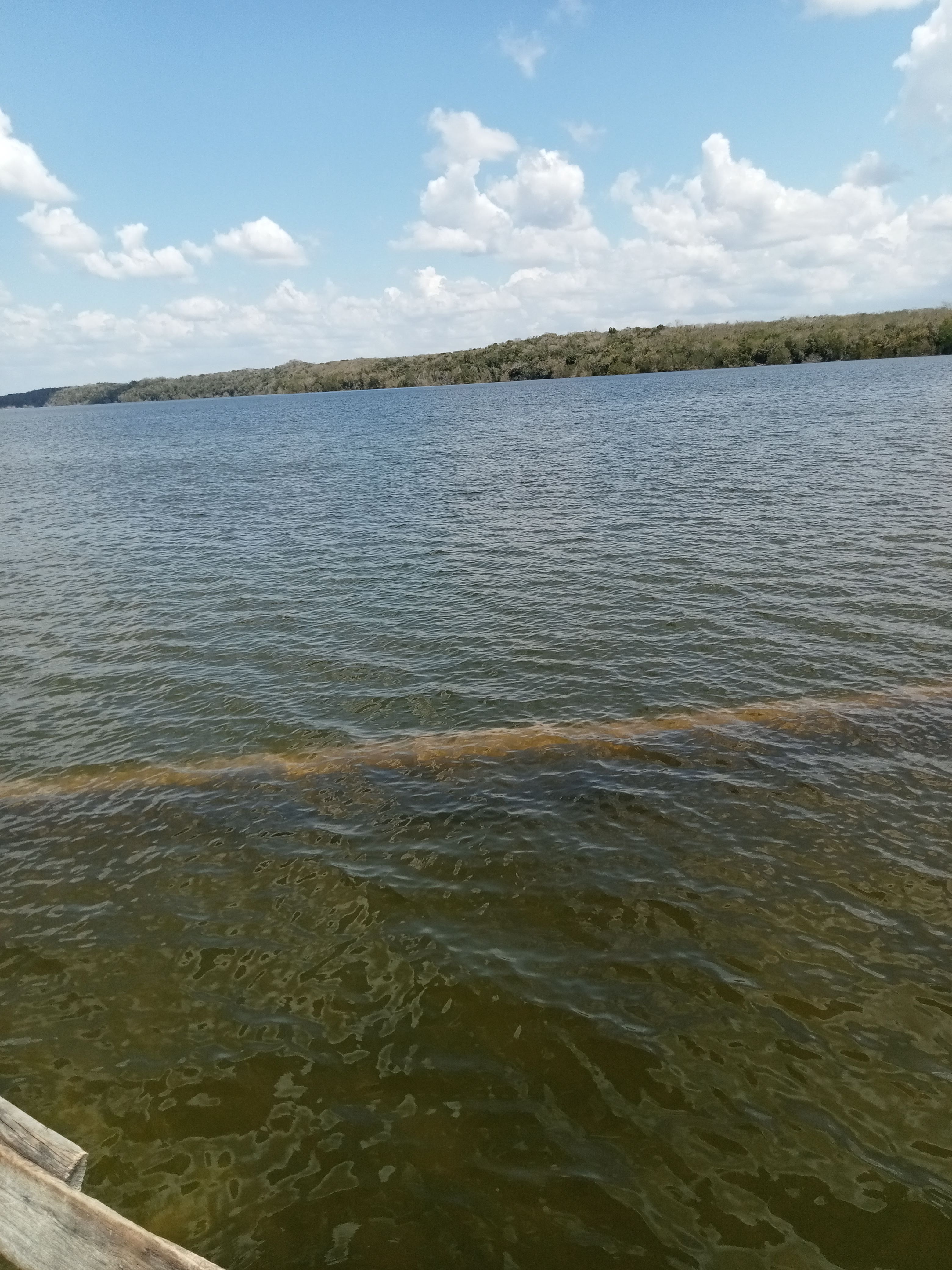 Restaurante Albercas Ki´Janal image 5