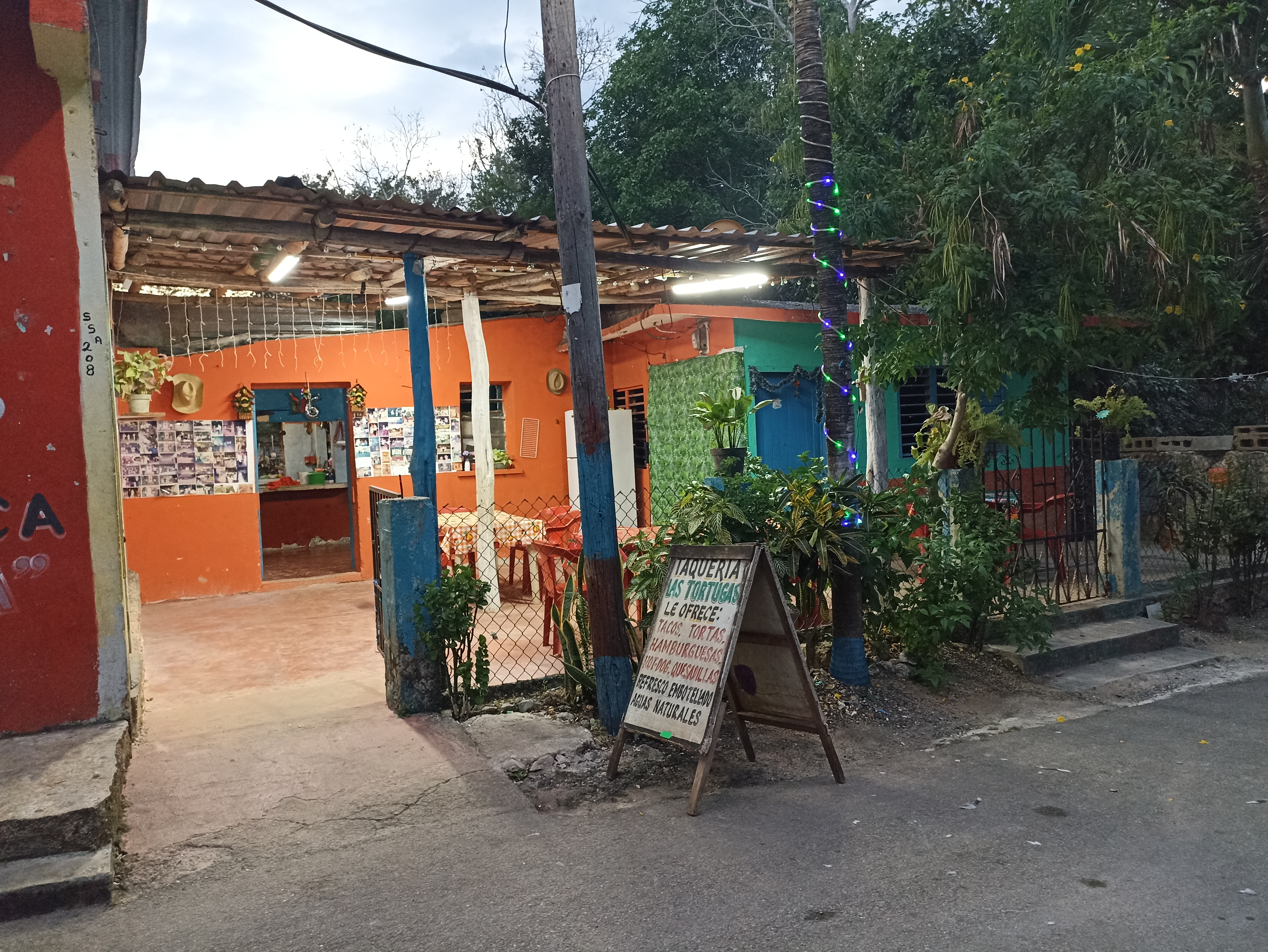 Taqueria Mamá Lucha image 1