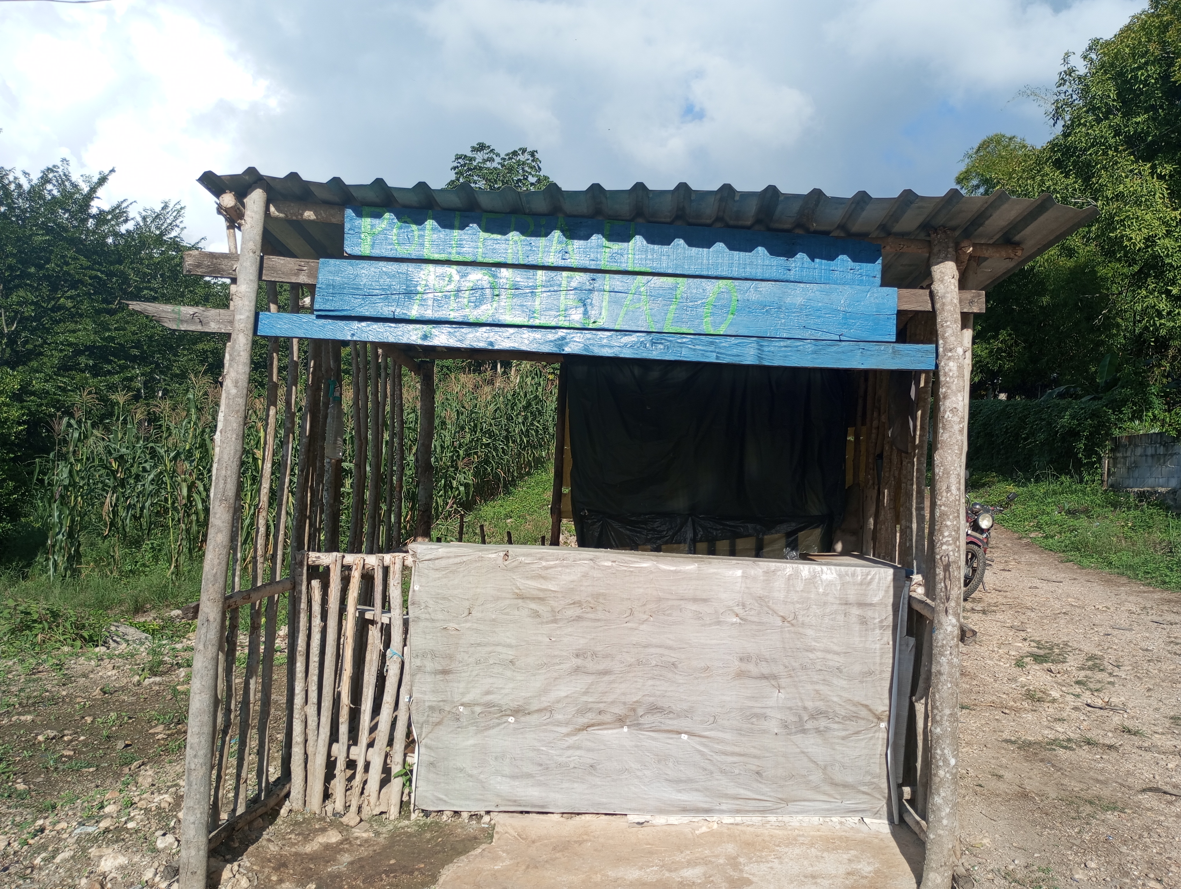 Pollería EL MOLLEJASO image 1