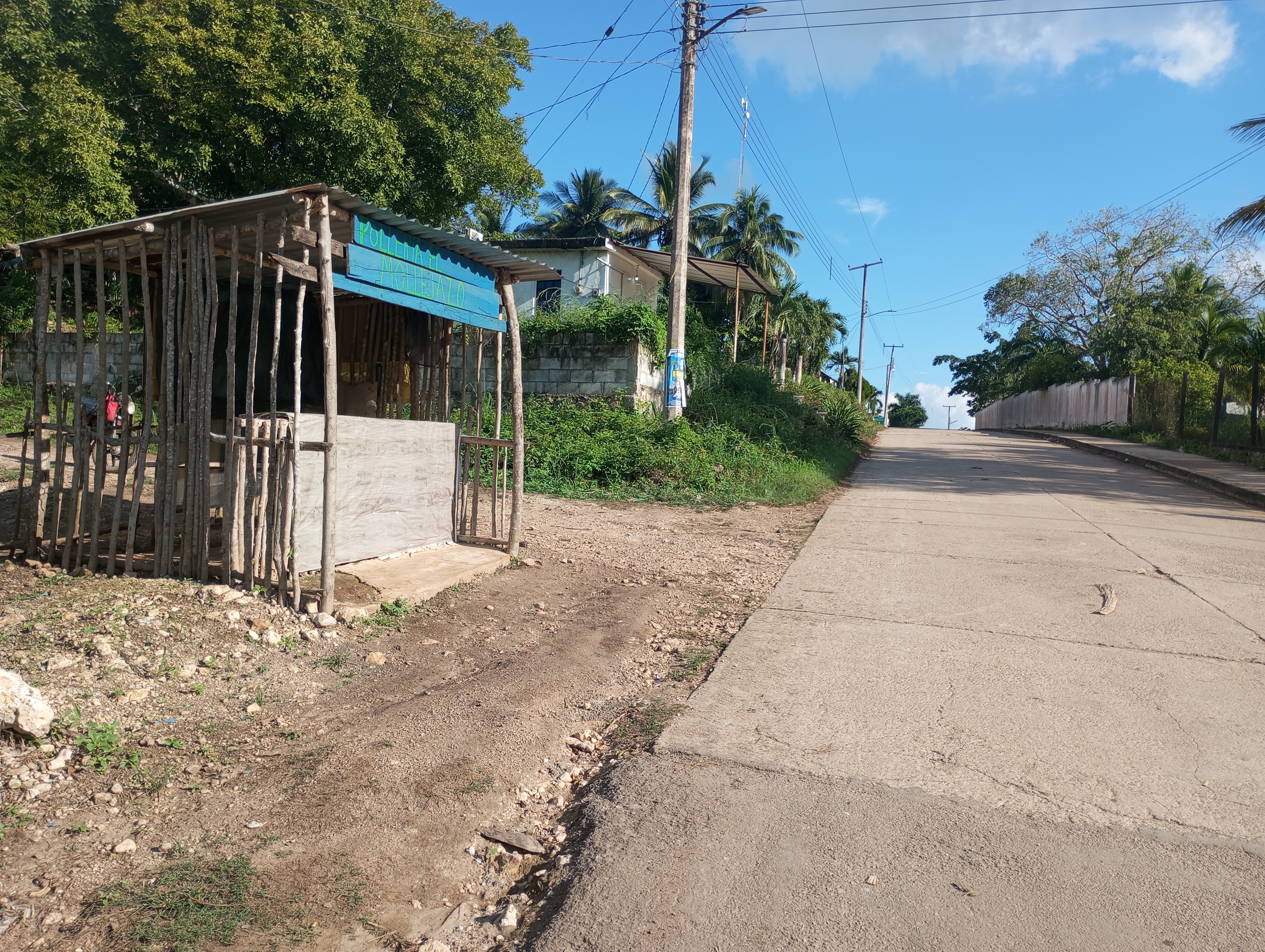 Pollería EL MOLLEJASO image 3