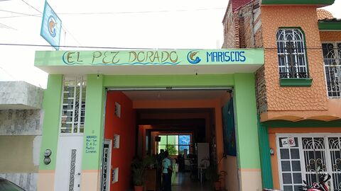 El Pez Dorado image 1