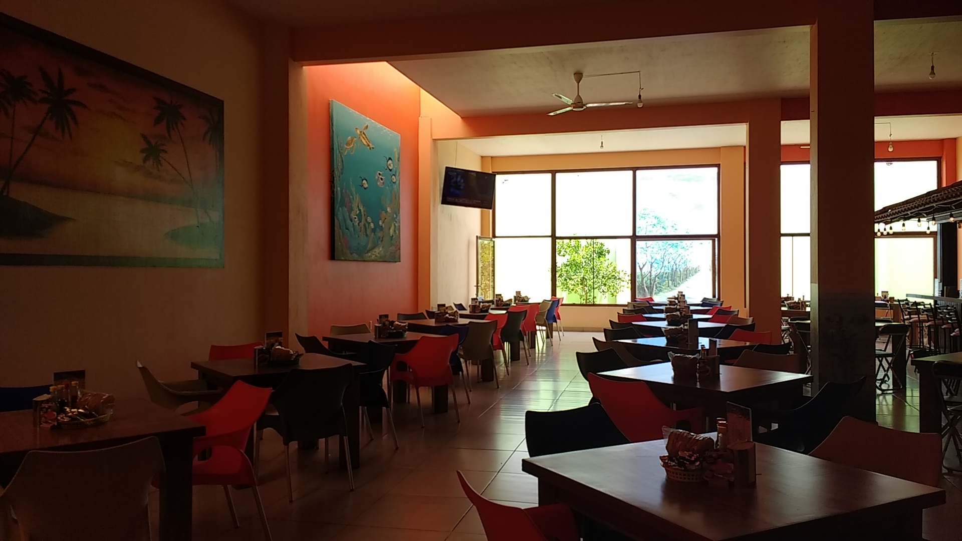 El Pez Dorado image 6