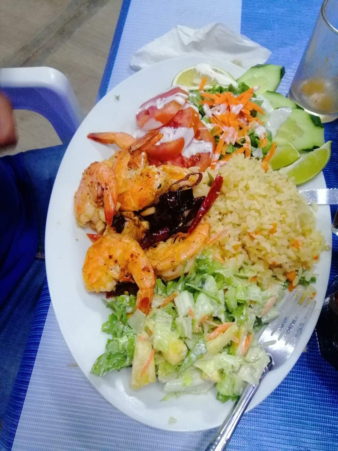 Restaurante bar the burritos el dandy image 7