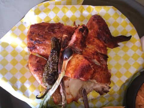 Taquipollo image 2
