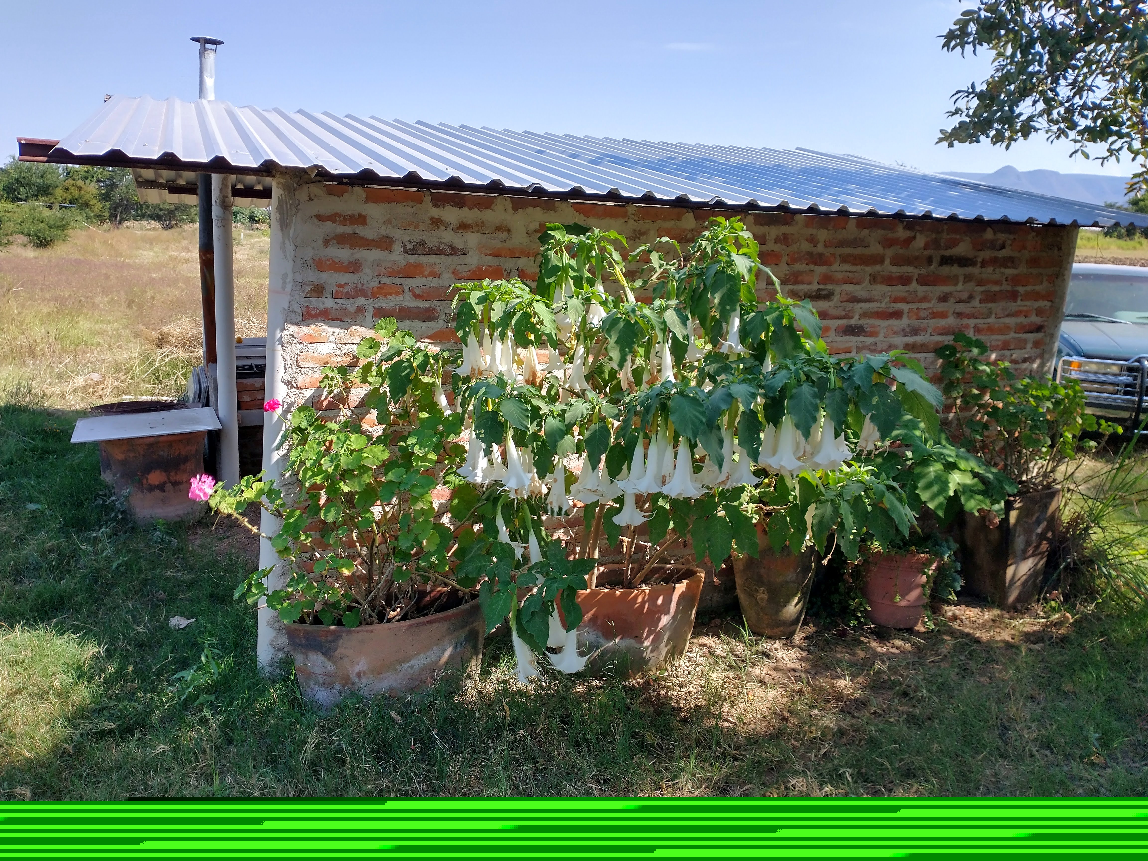 Mariscos Memo image 8