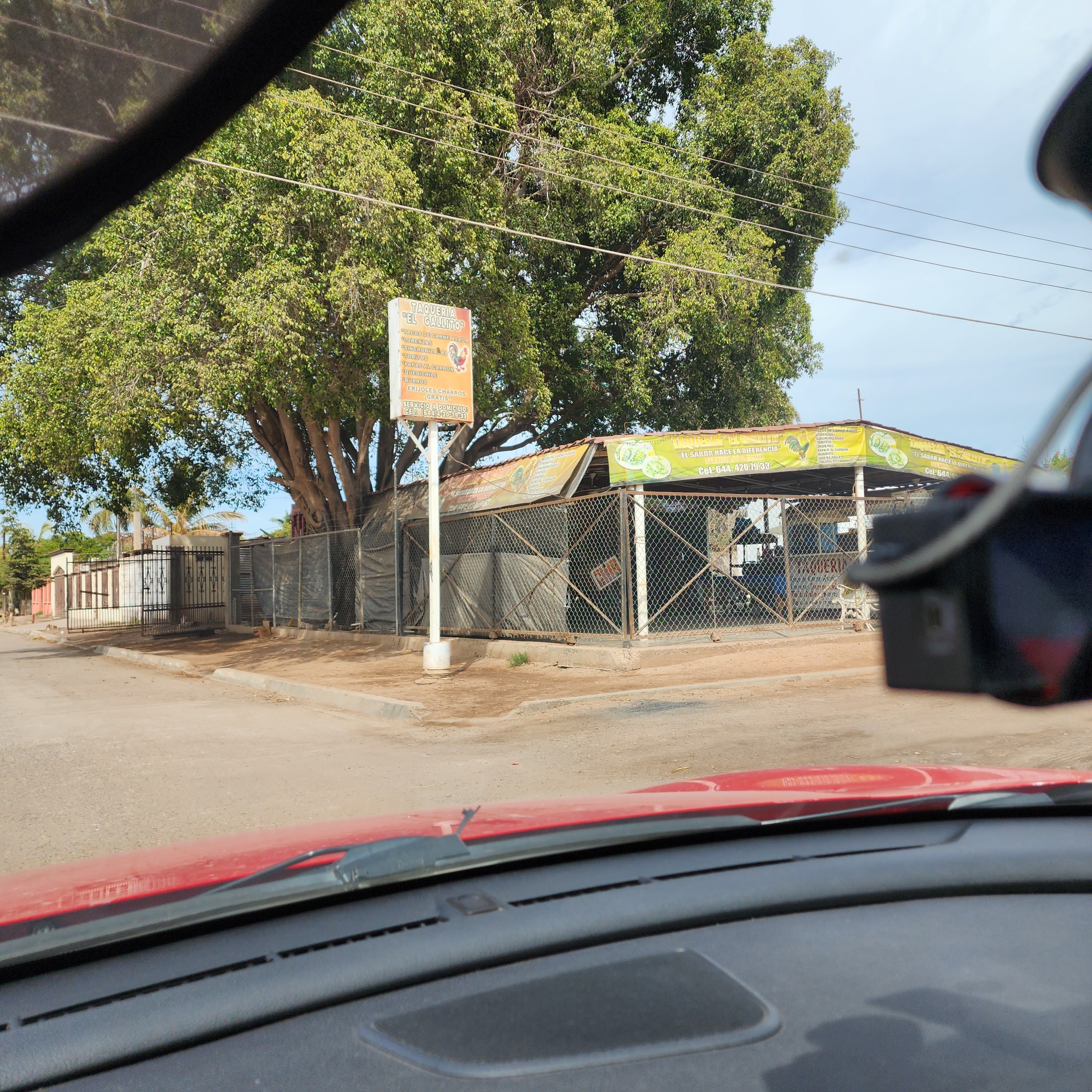 Taquería El Gallito. image 8