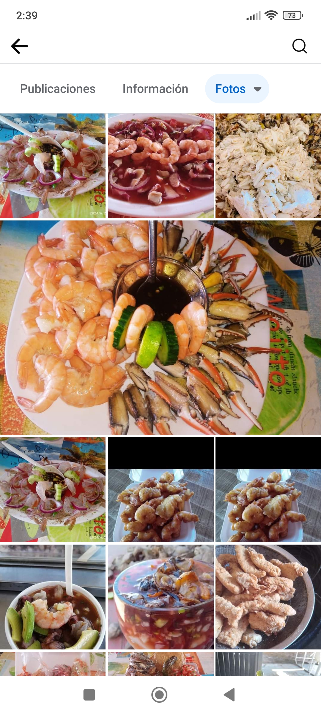 Pargo Lobos image 10