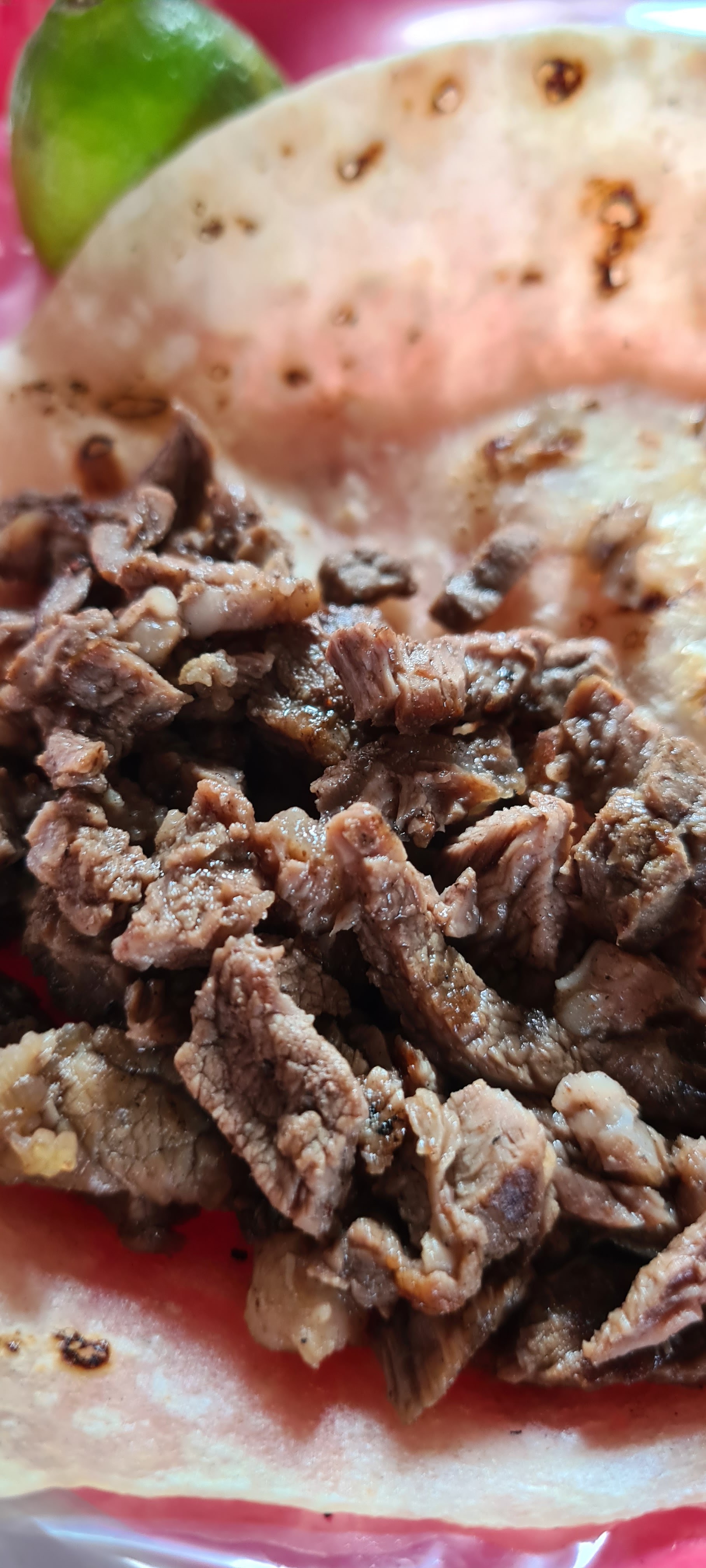 Tacos el Gordo image 2