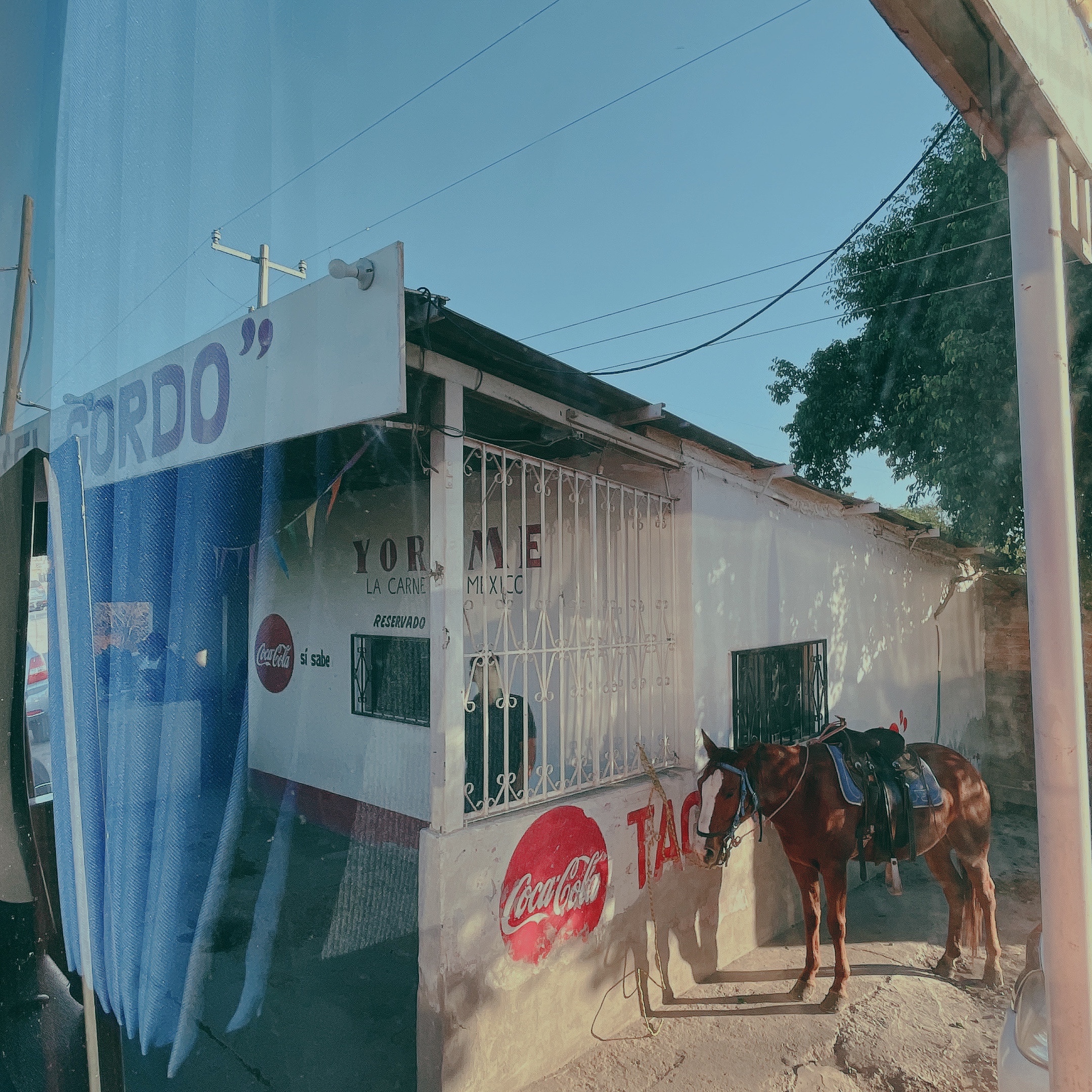 Tacos el Gordo image 4