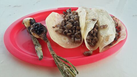 Taqueria Bugambilia image 6