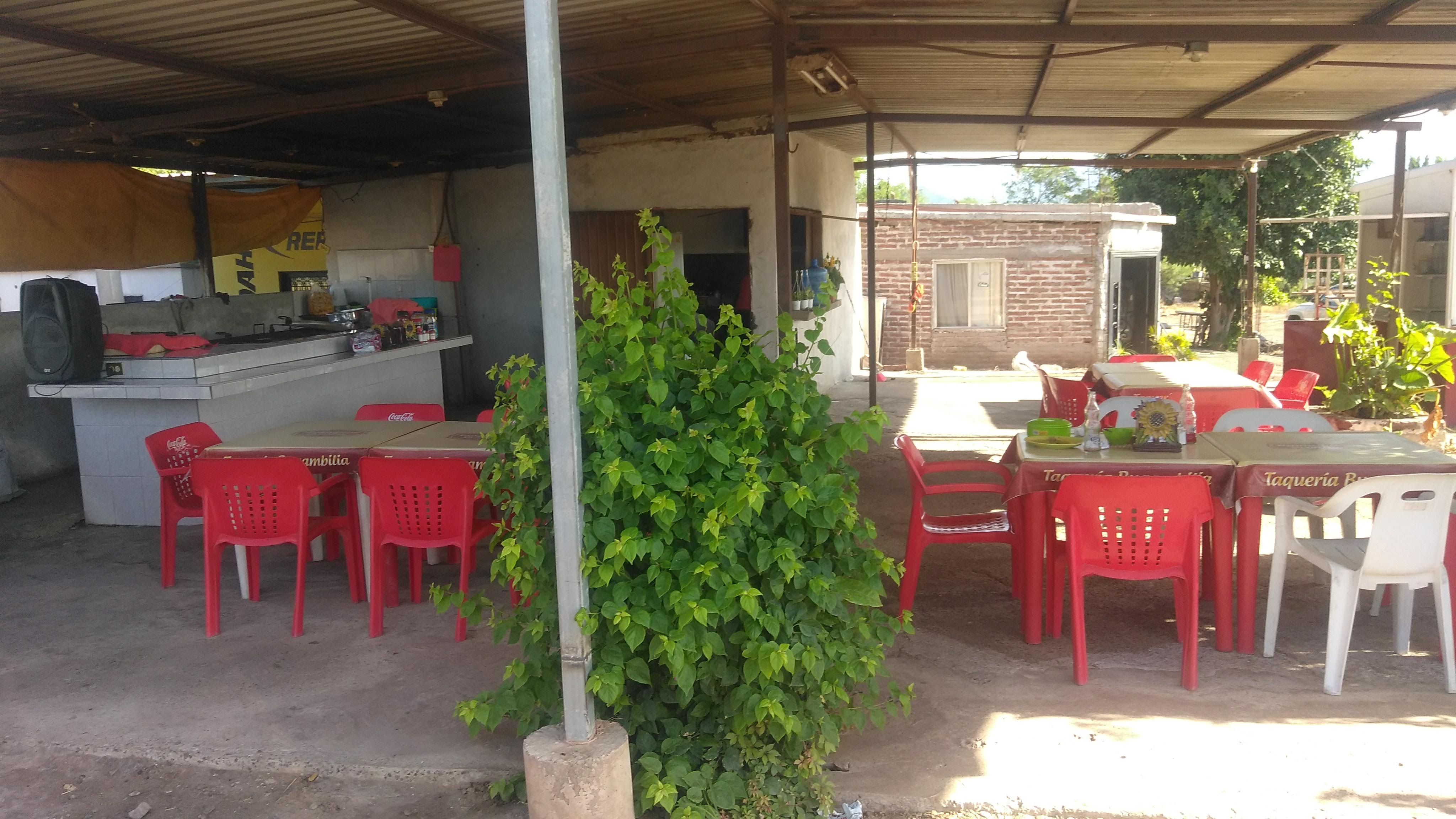 Taqueria Bugambilia image 8