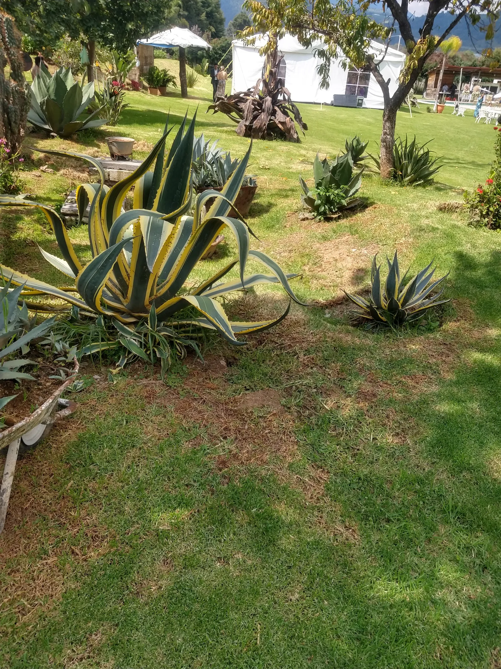 Quinta PeñaZco image 3