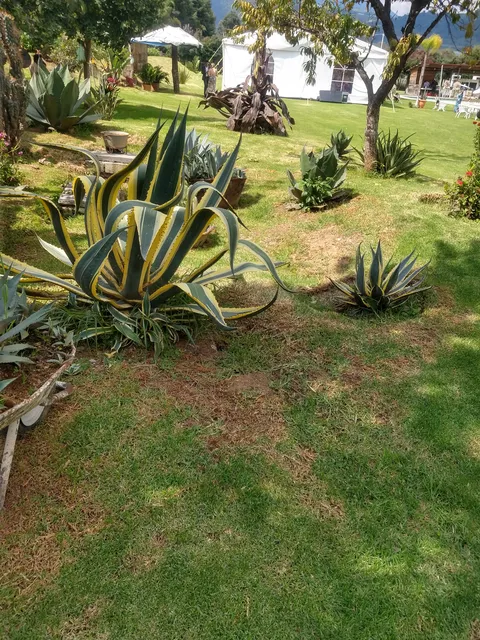 Quinta PeñaZco image 3