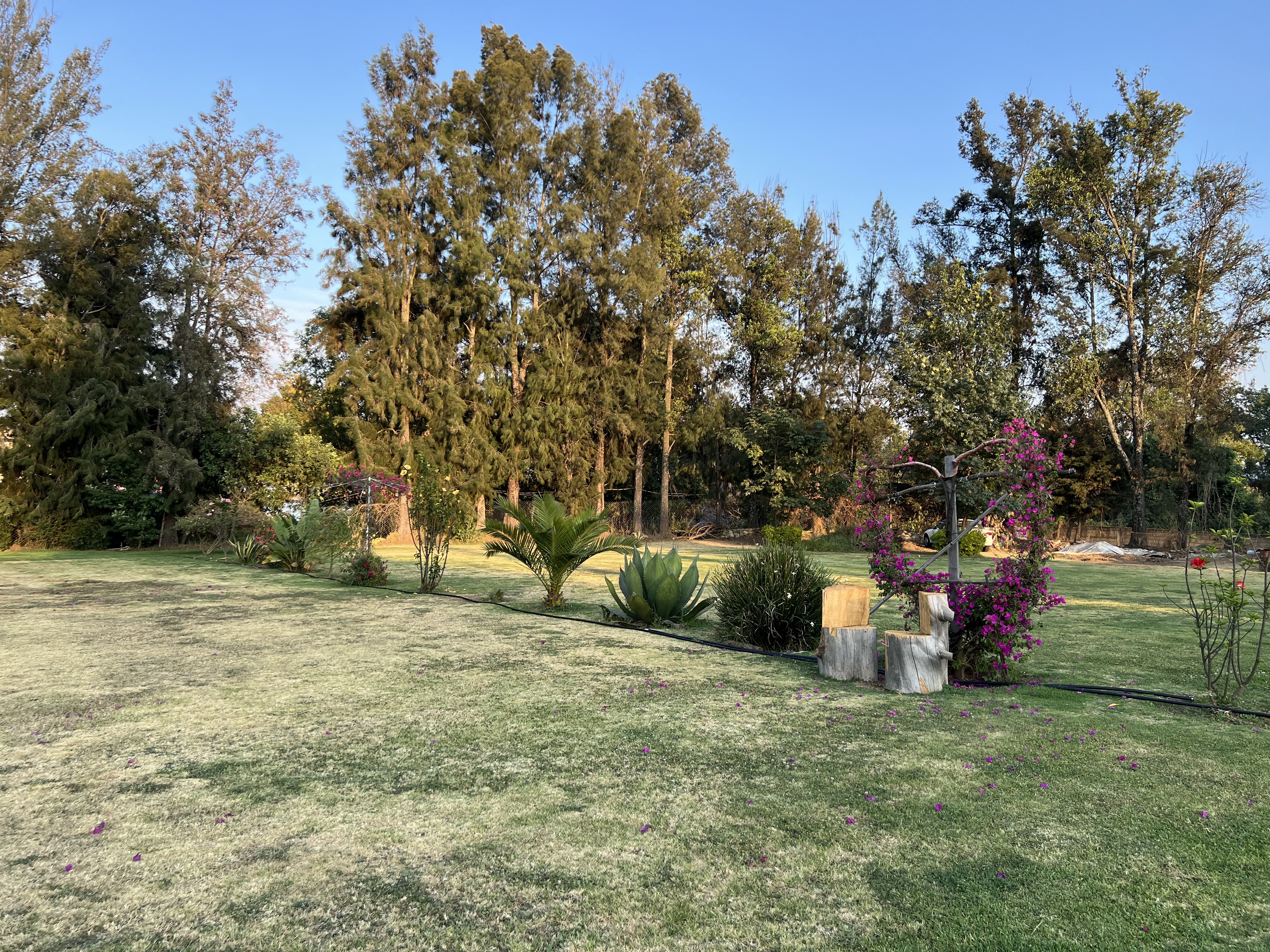 Quinta PeñaZco image 6