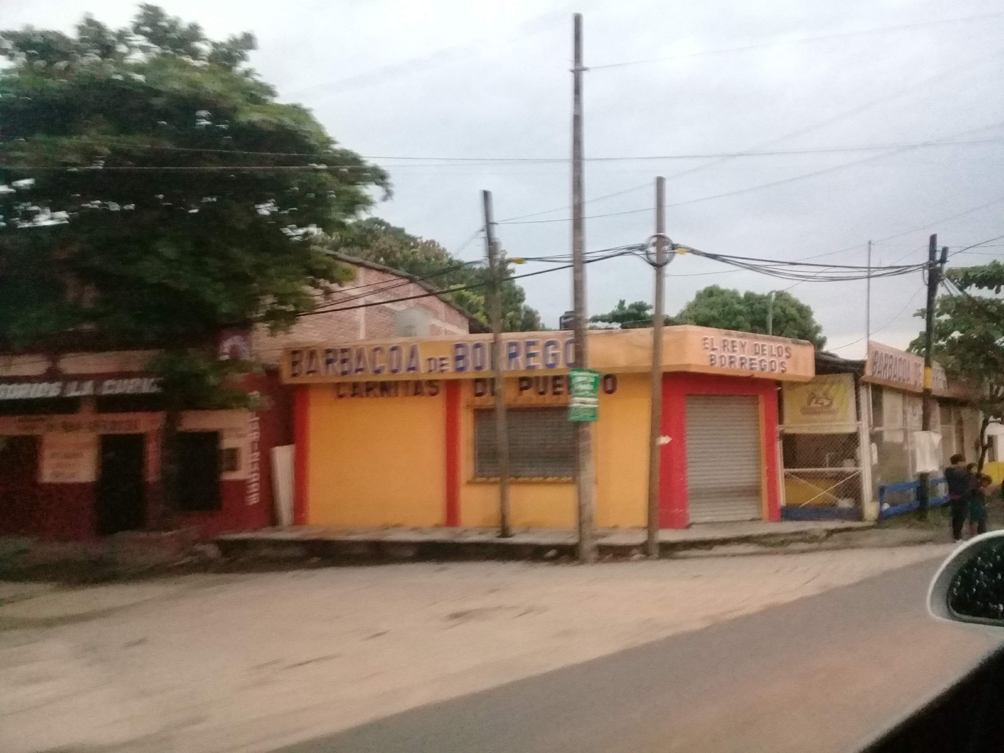 El Rey de los Borregos image 2