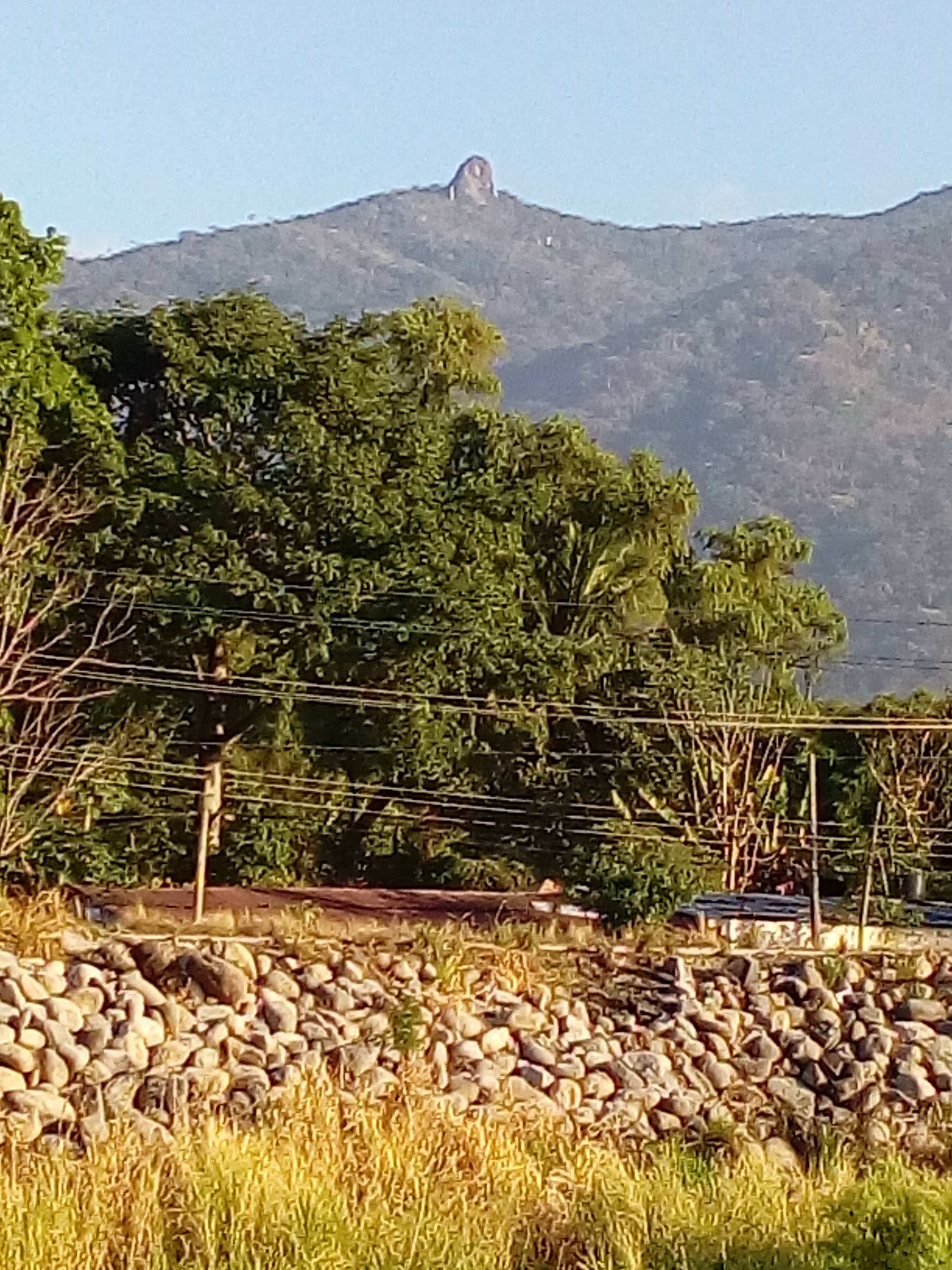 El Rey de los Borregos image 4