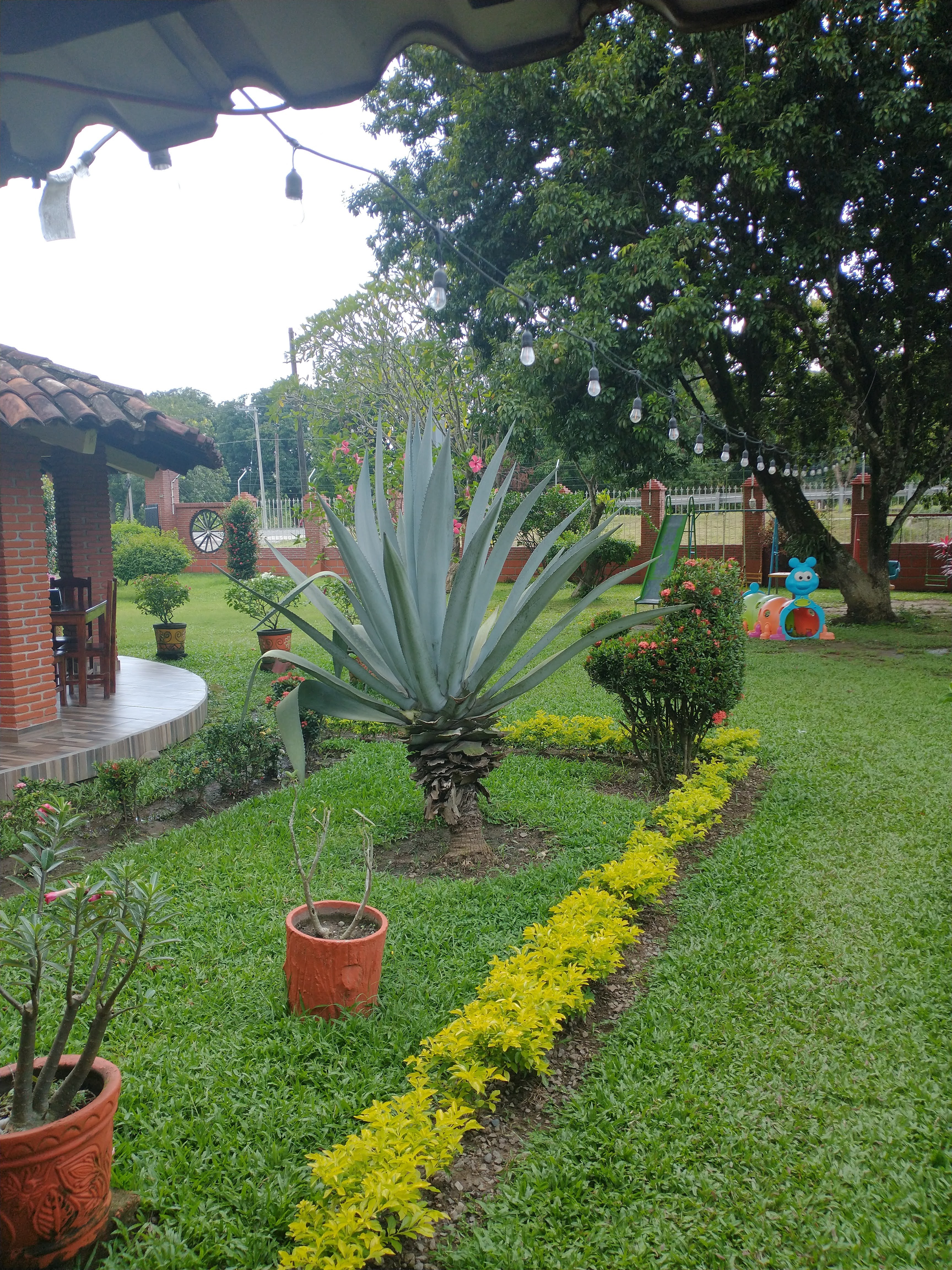 Restaurante EL HERRADERO image 6