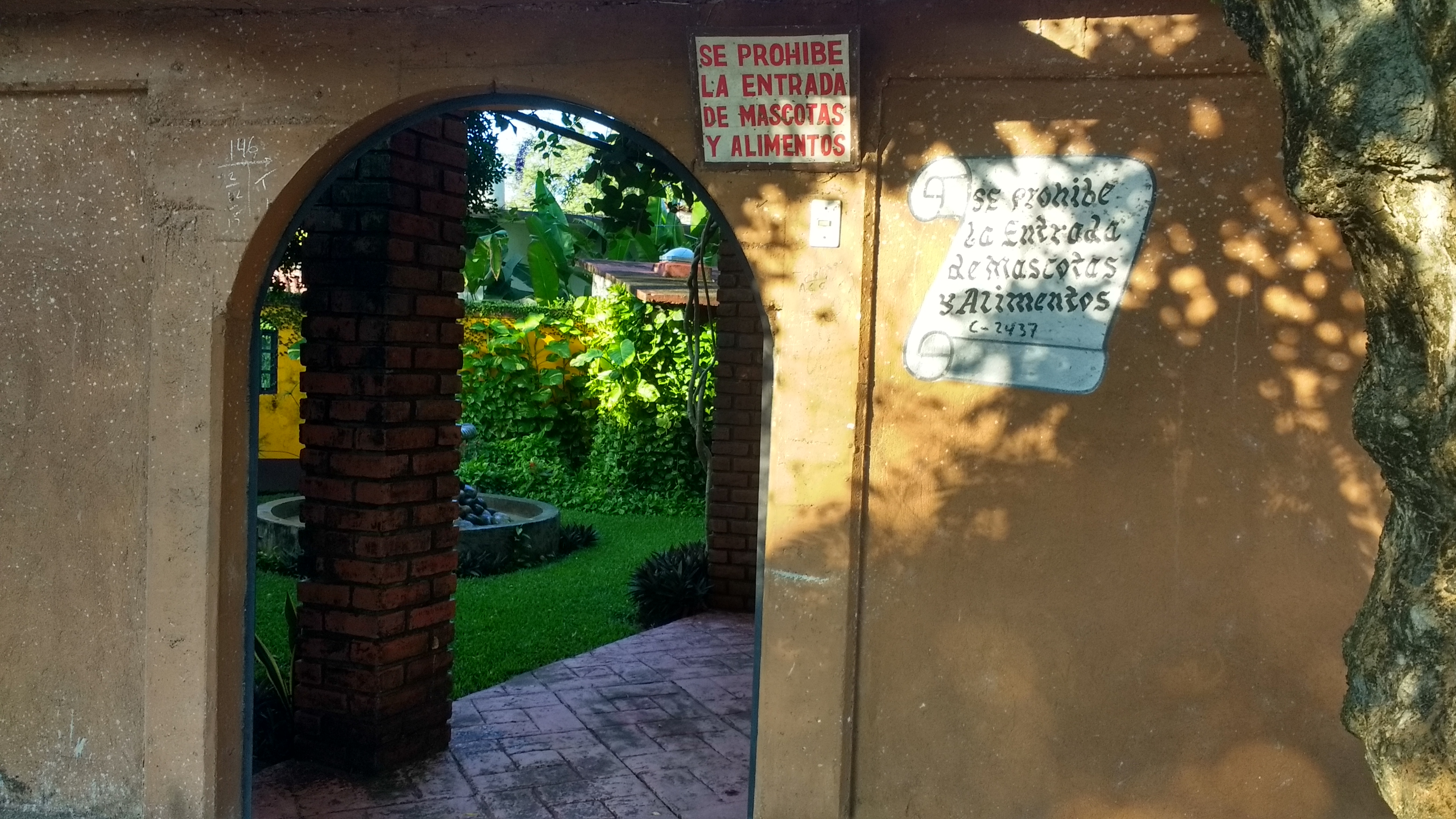 Los Faroles Centro image 9