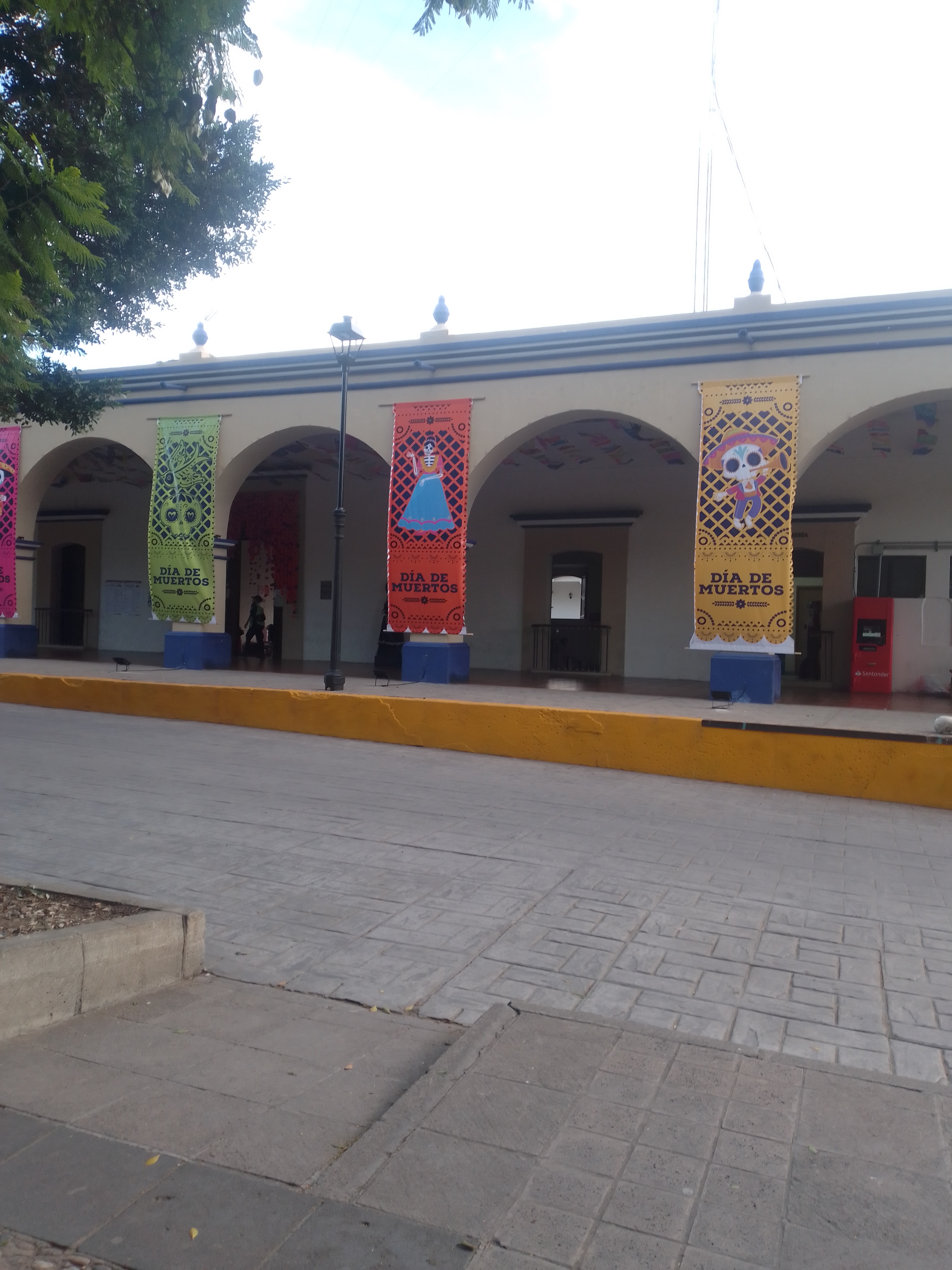 La fogata de ejutla image 3