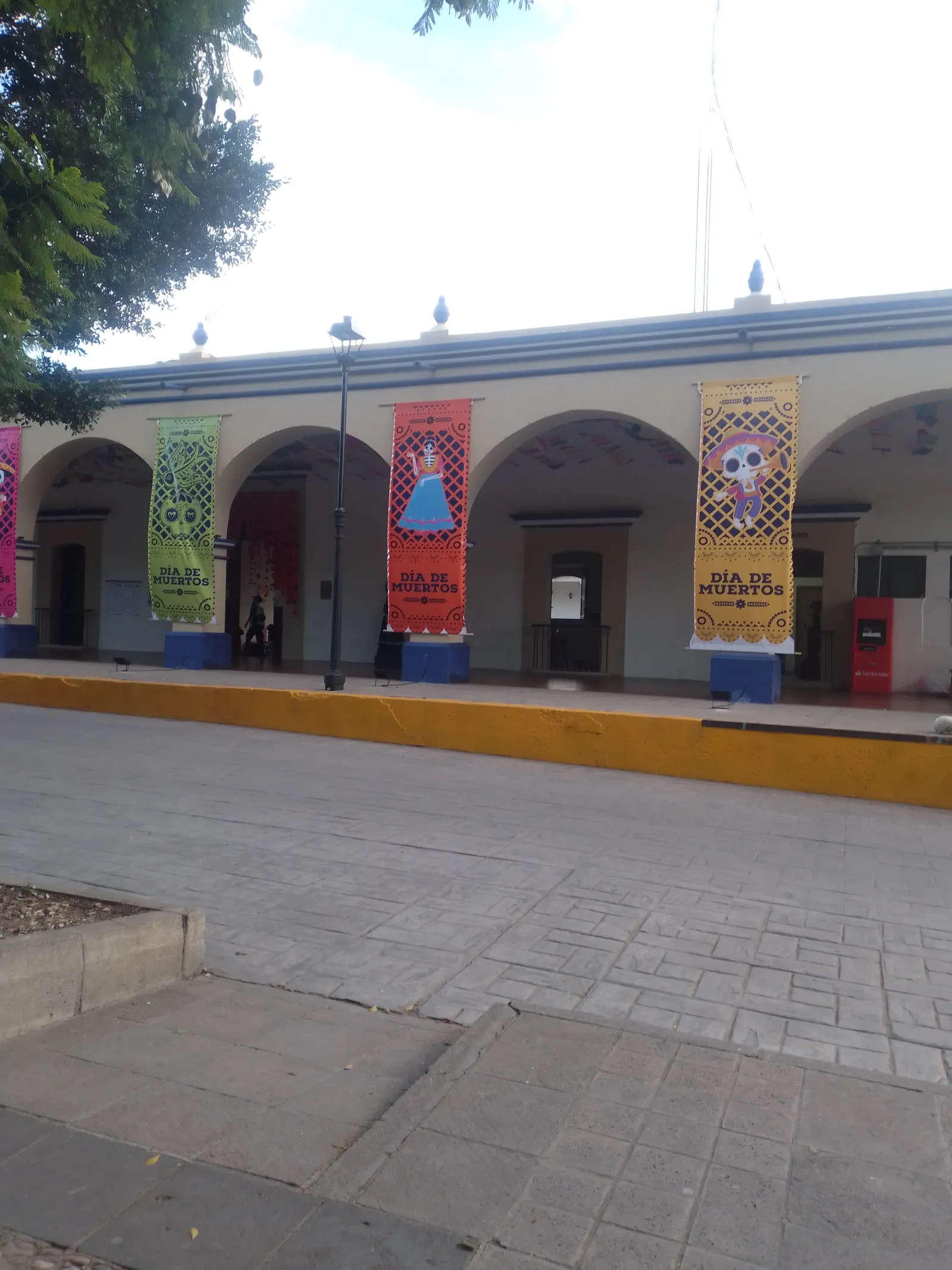 La fogata de ejutla image 3