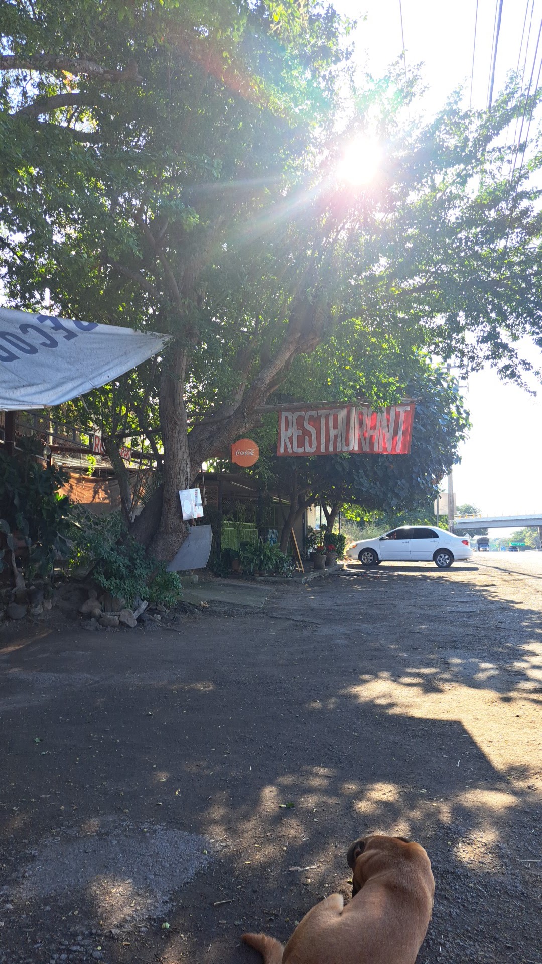 El Tejabancito image 5