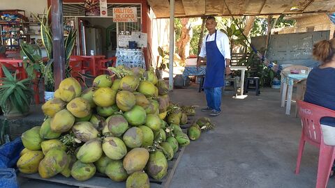 COCOS "MATA" image 1