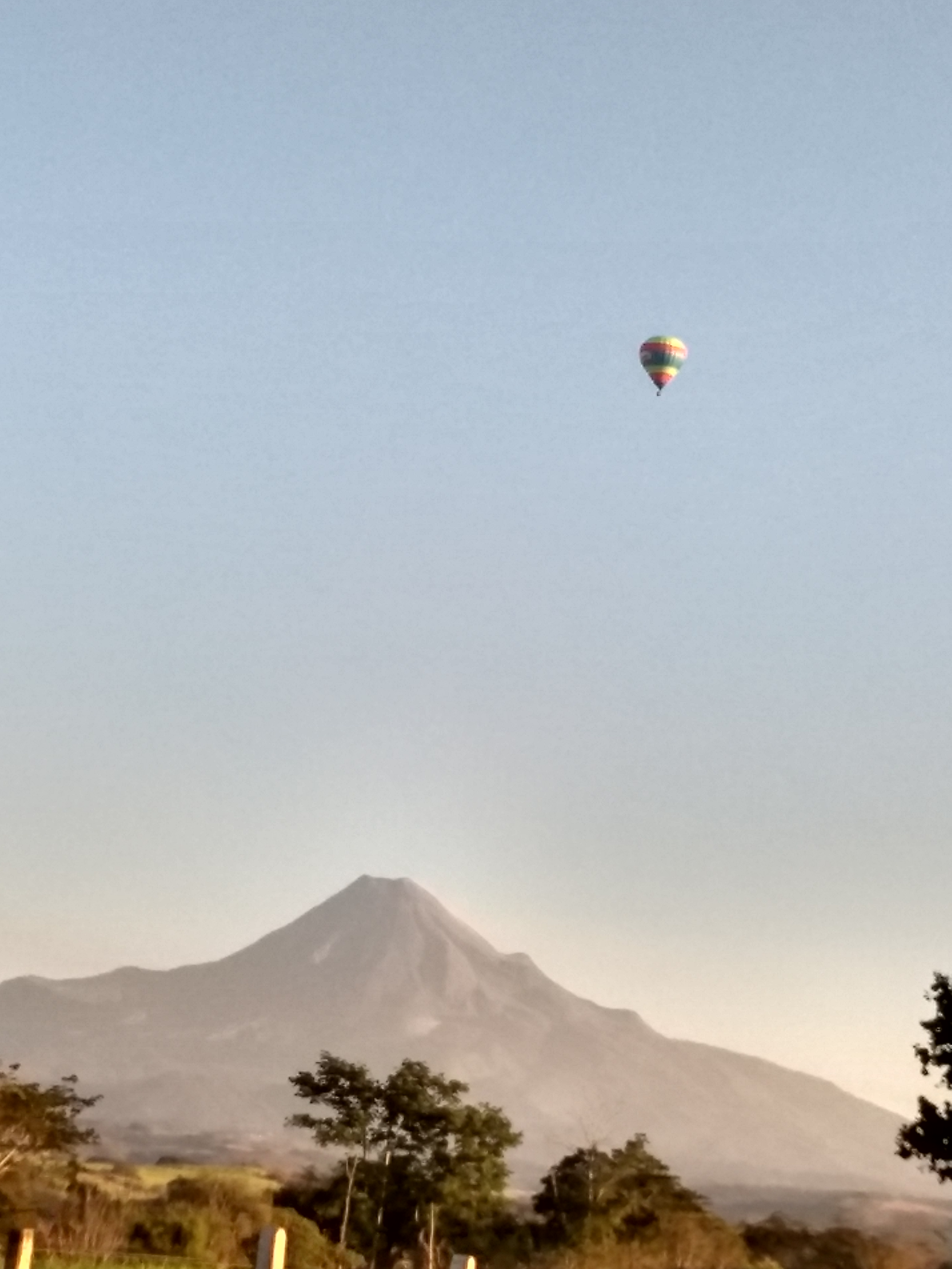 COCOS "MATA" image 2