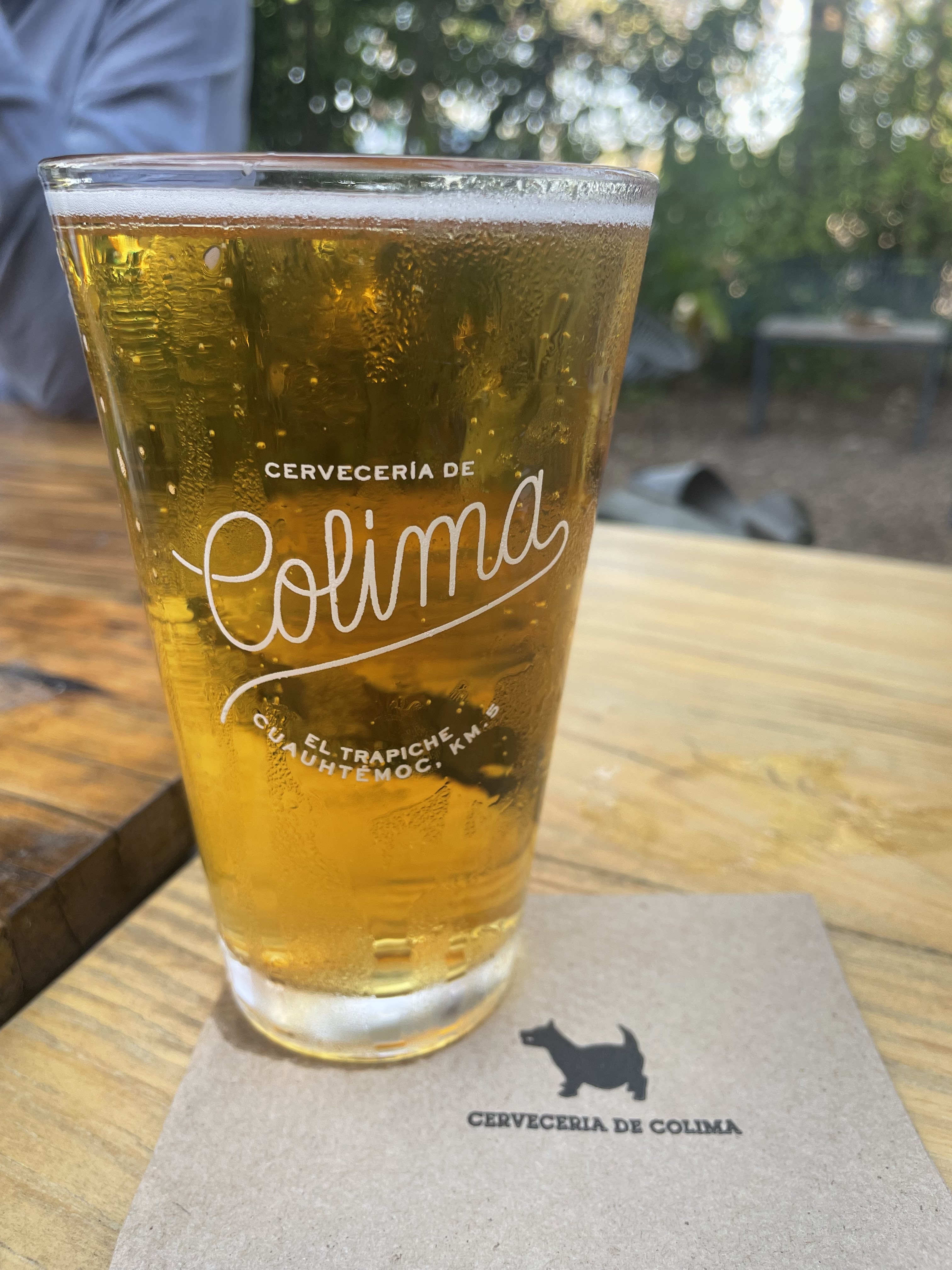 Jardín Cervecería de Colima image 3