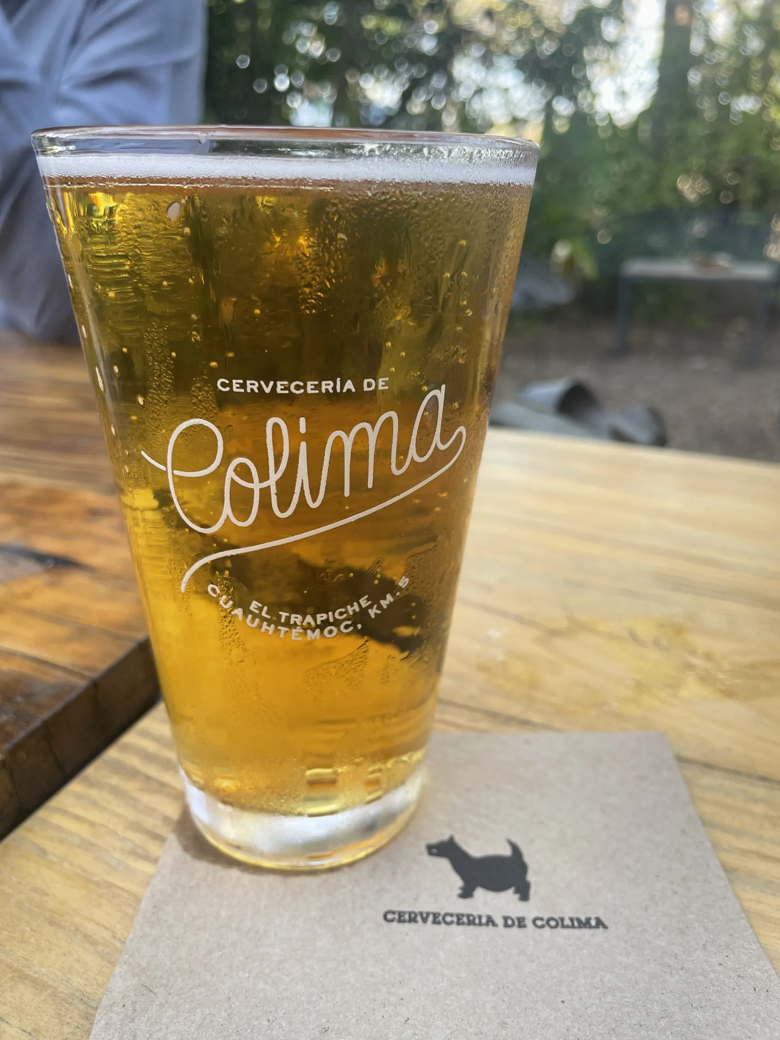 Jardín Cervecería de Colima image 3