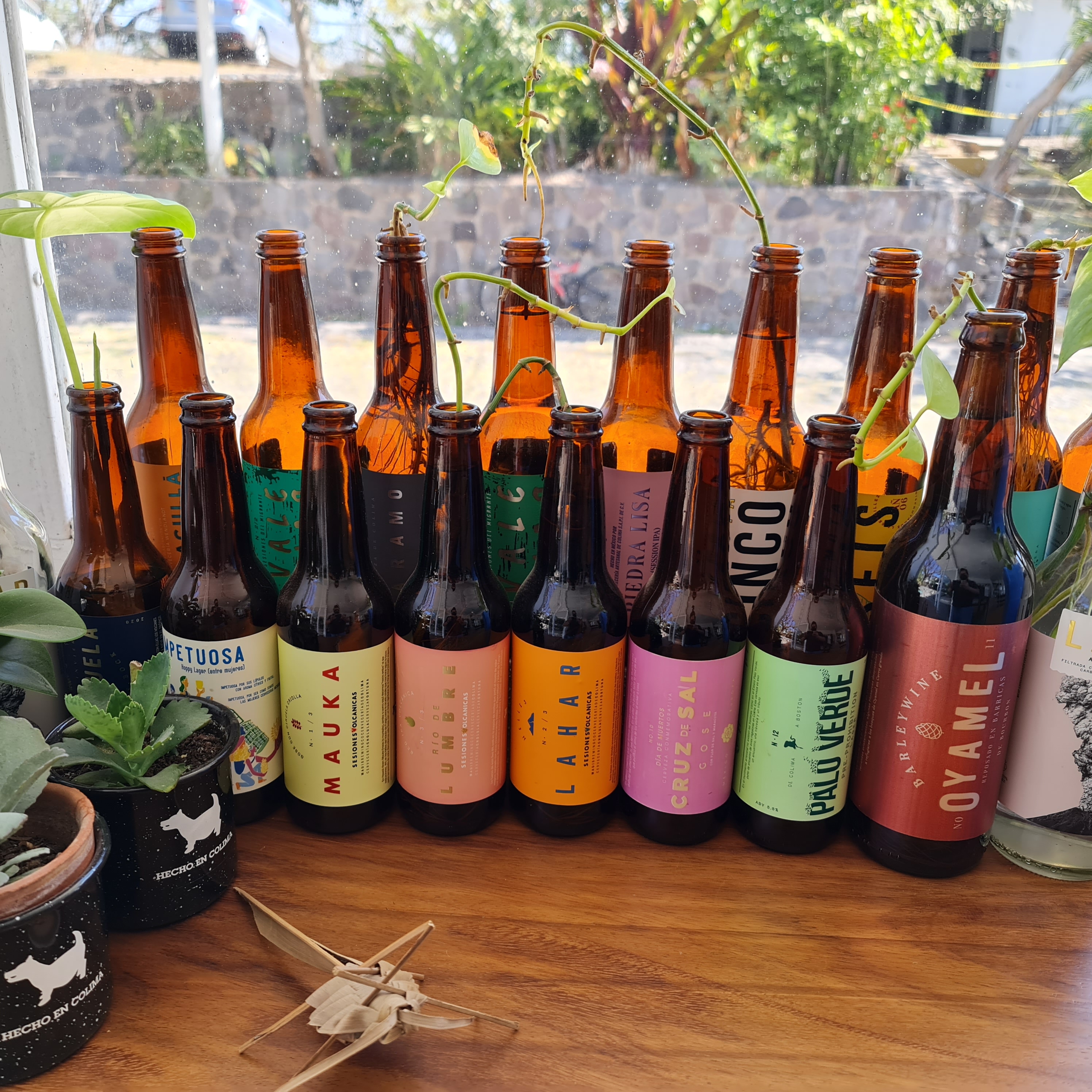 Cervecería de Colima image 10