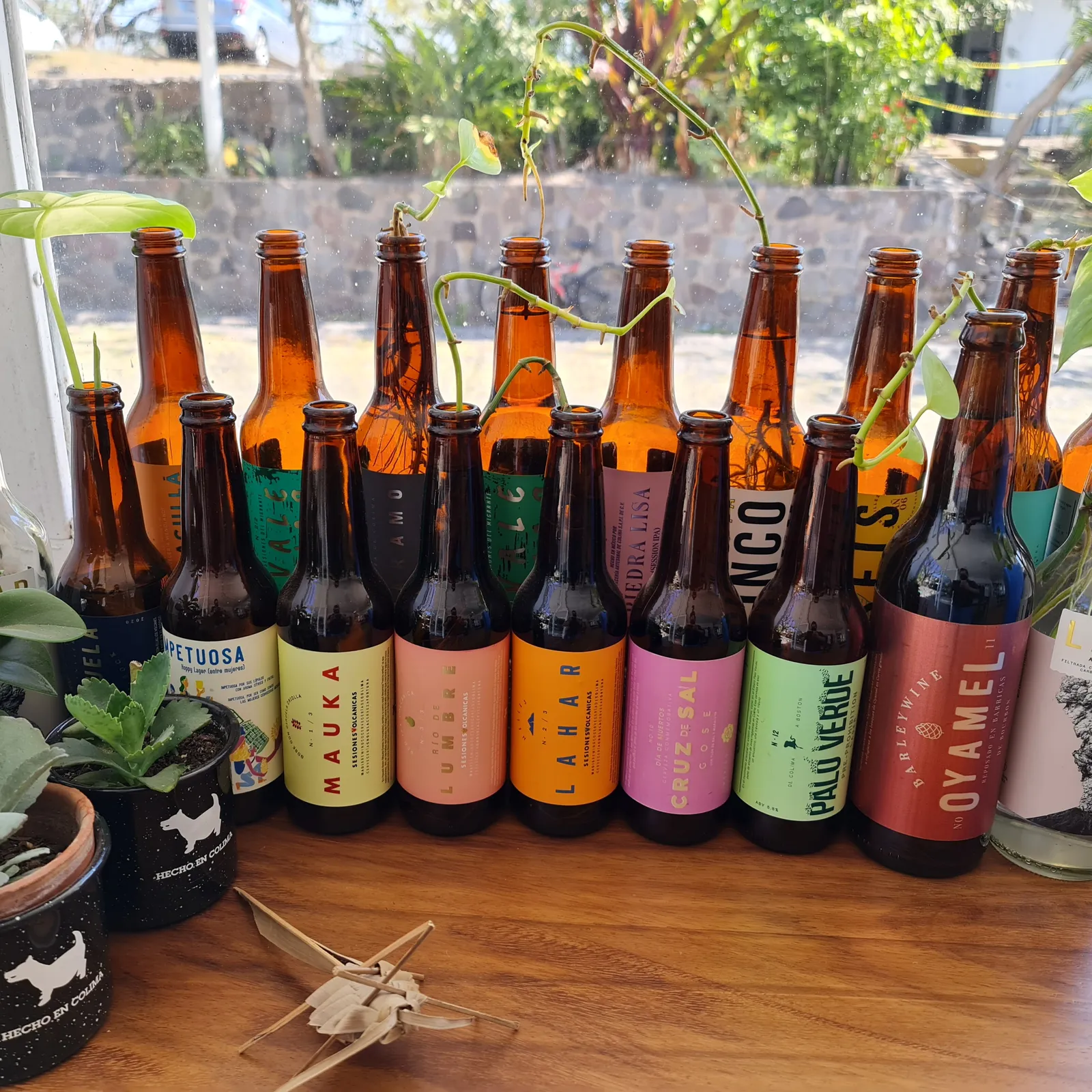 Cervecería de Colima image 10