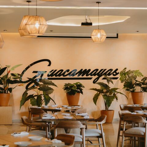 Guacamayas Restaurant - Bar image 1