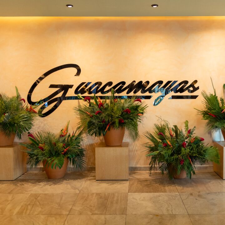 Guacamayas Restaurant - Bar image 3