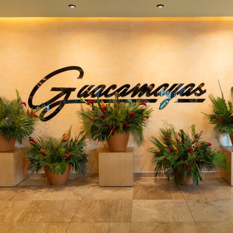Guacamayas Restaurant - Bar image 3