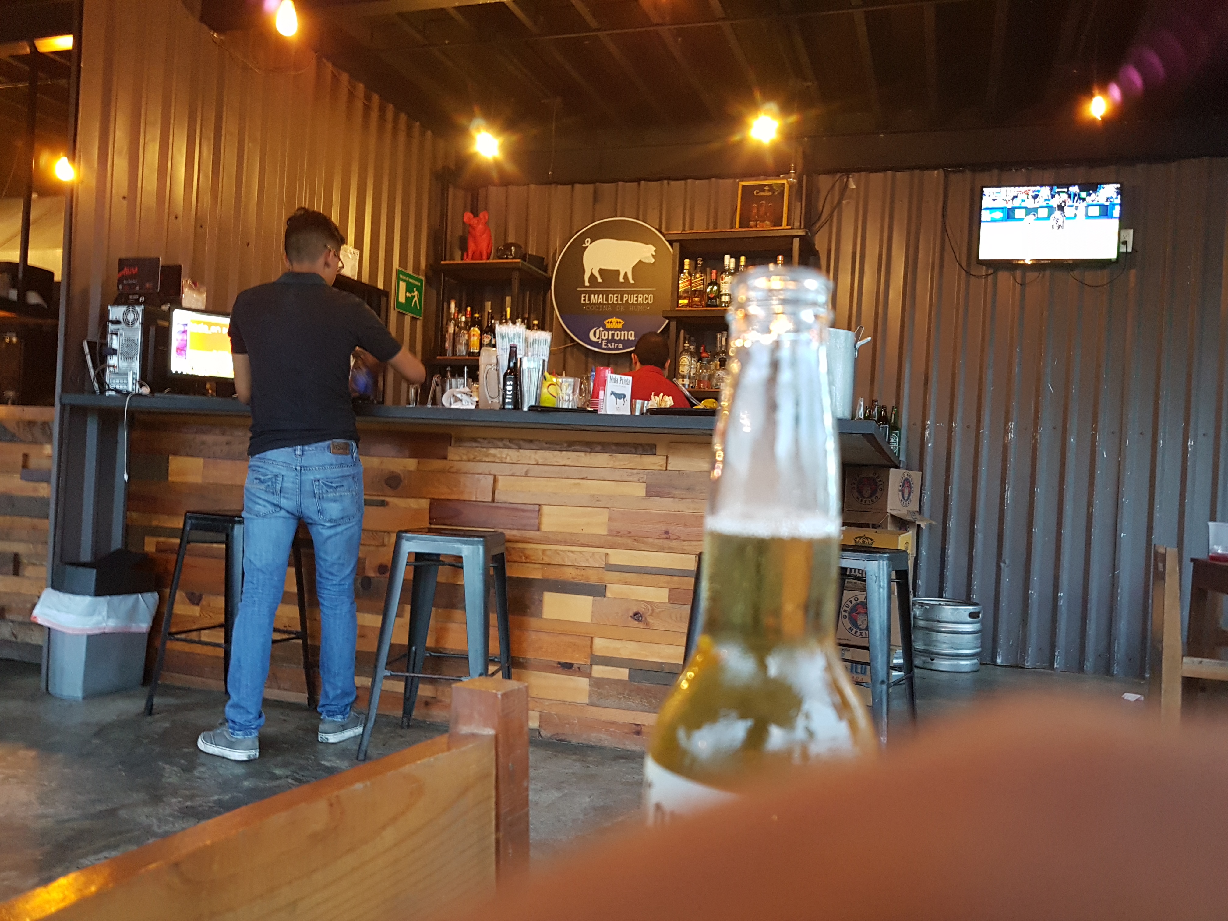 El mal del puerco image 1