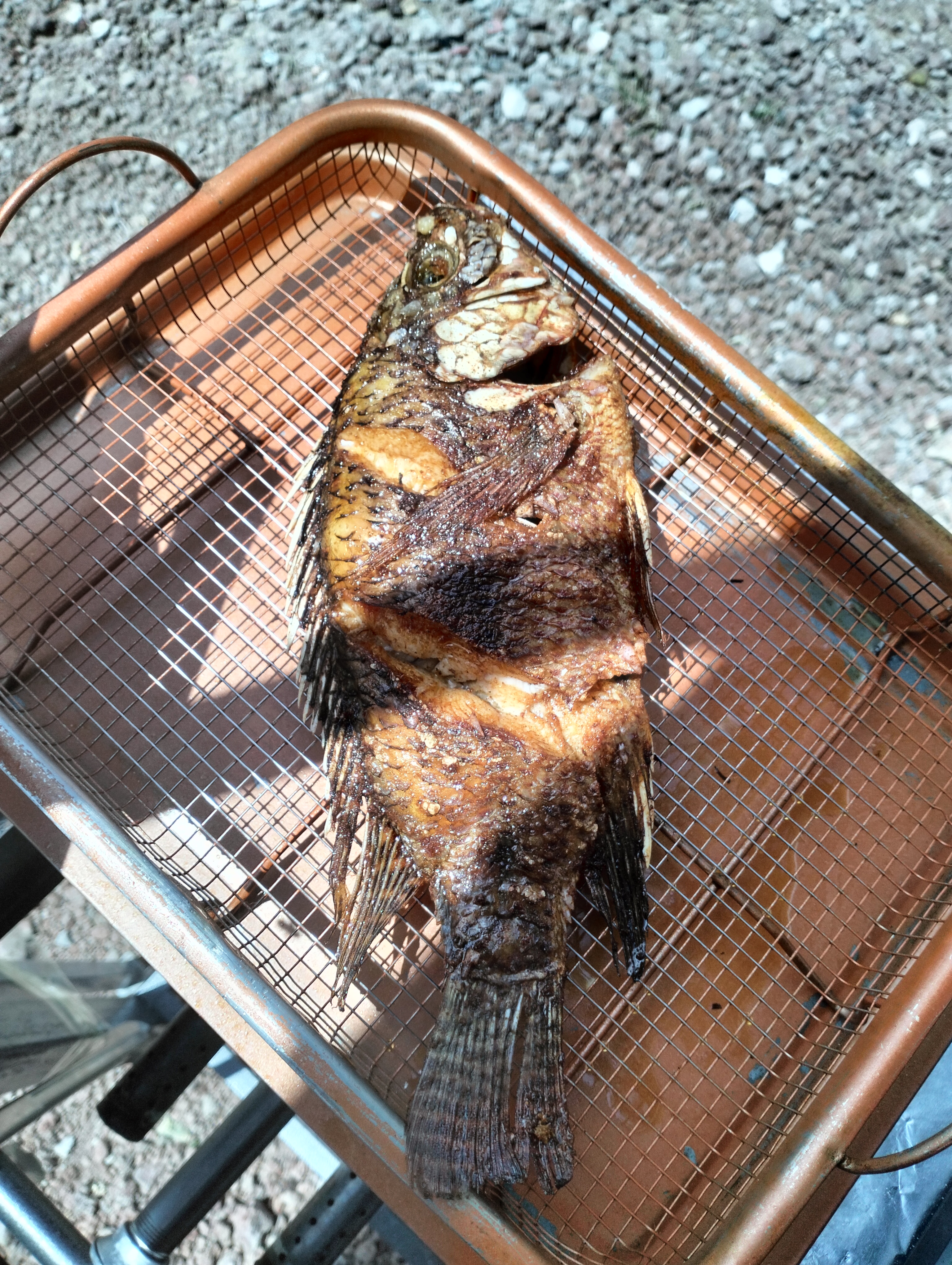 Tommy Cocktelito Mariscos frescos image 6