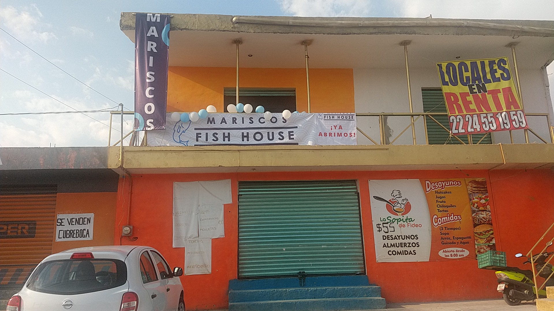 FISH HOUSE image 6