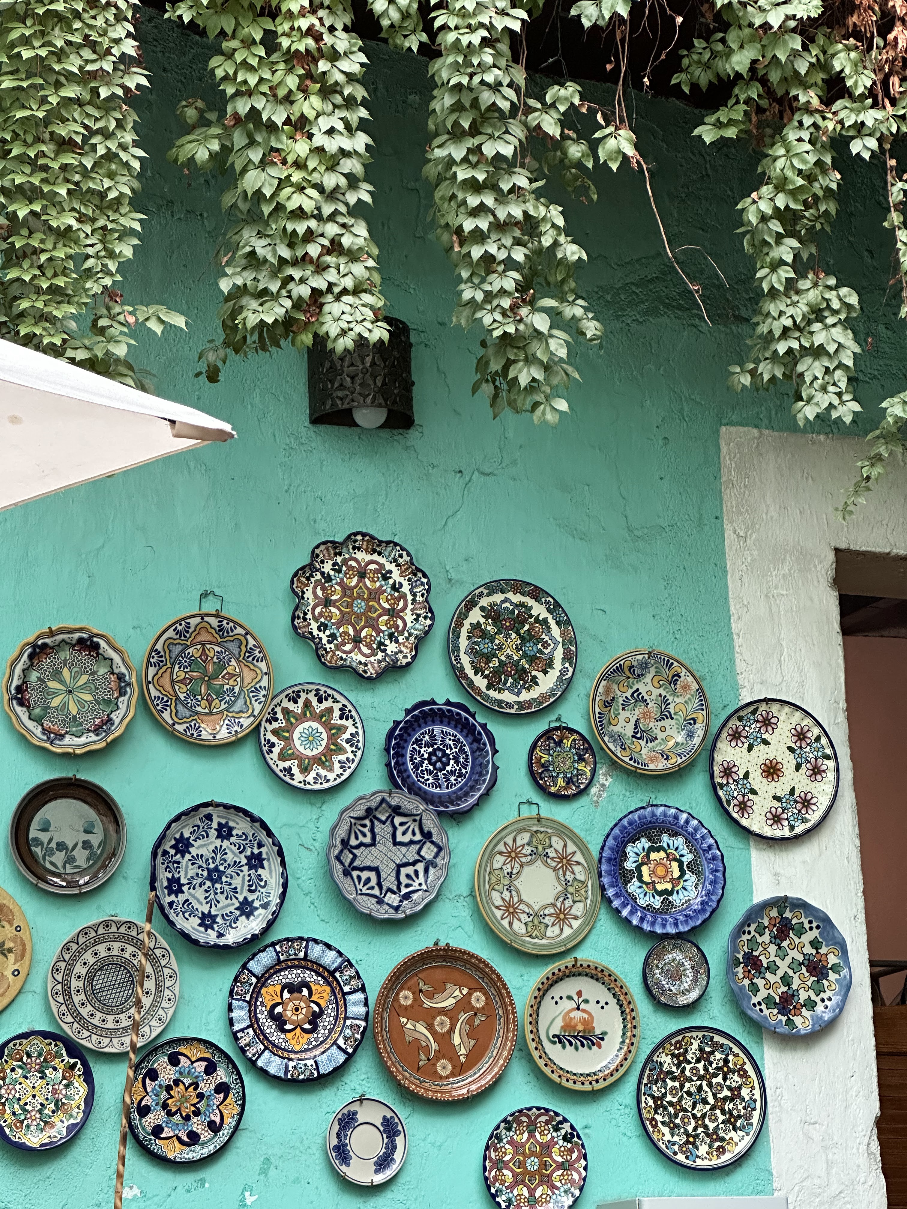 El Maestro Asador image 7