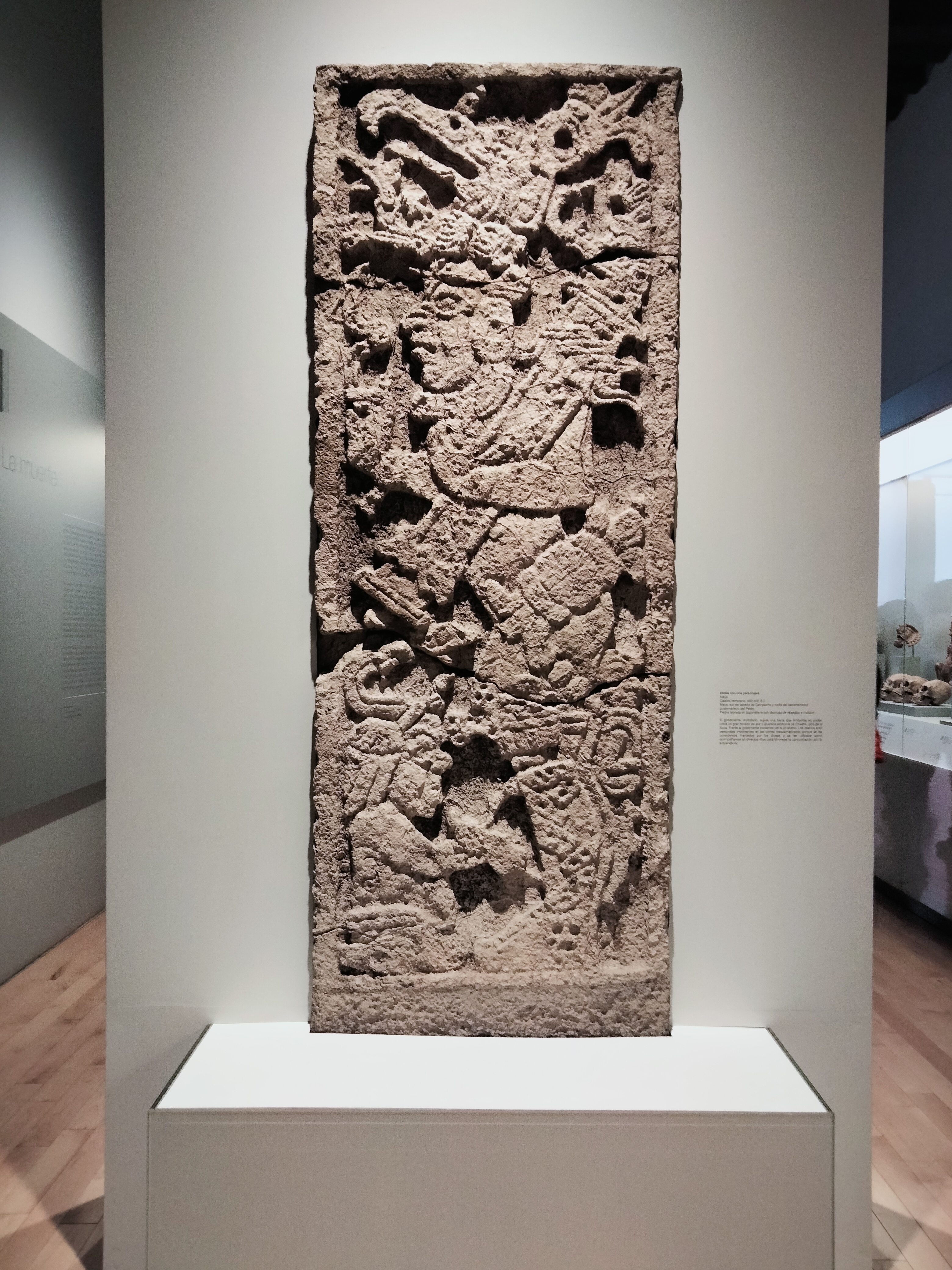 HIKARI Sushi Restaurant image 6