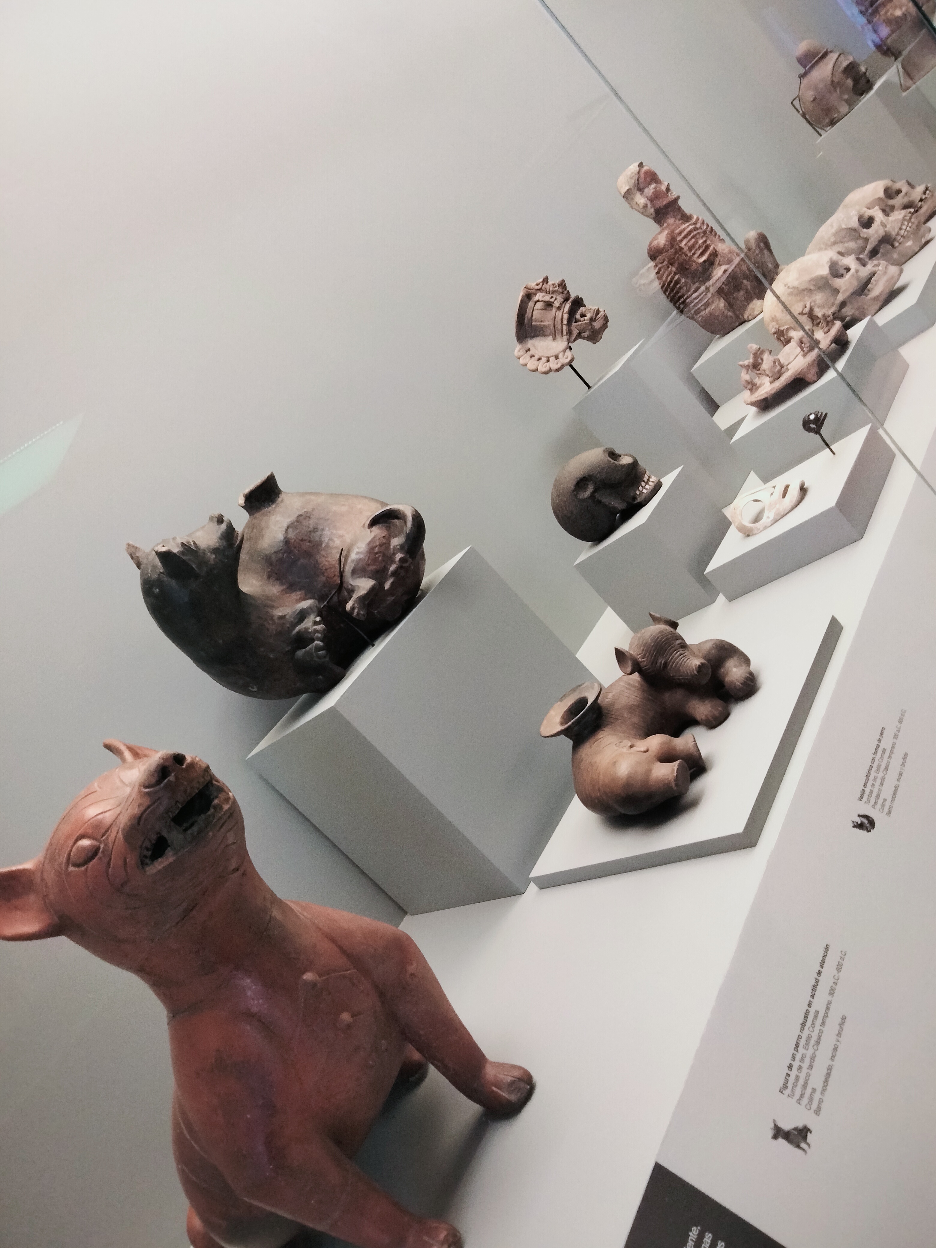 HIKARI Sushi Restaurant image 7