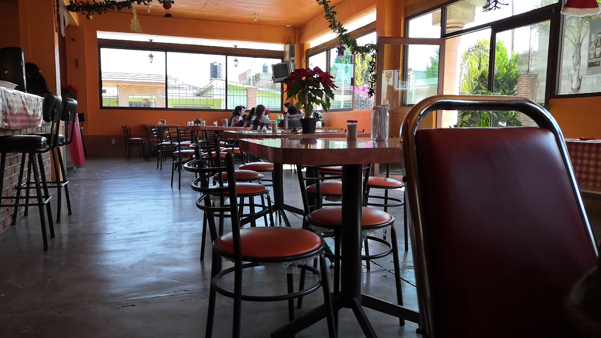 EL BORREGO DE ORO image 1