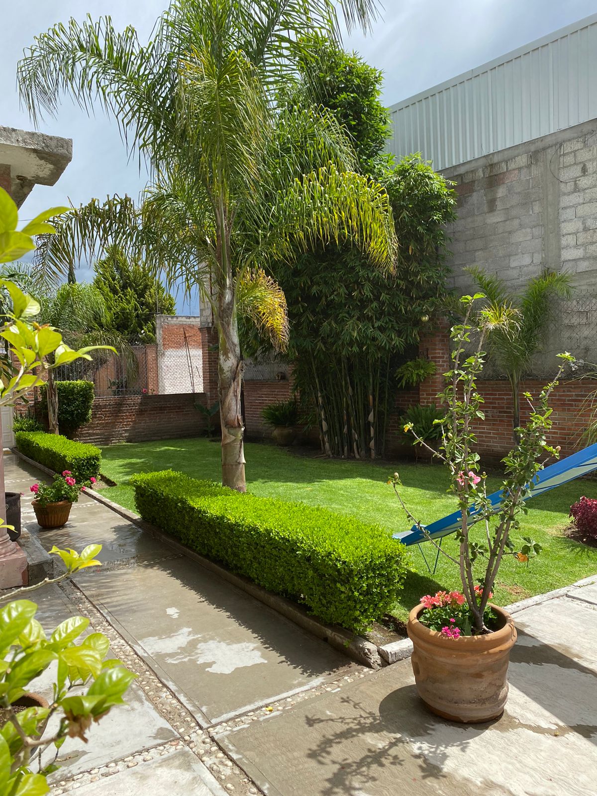 EL BORREGO DE ORO image 4