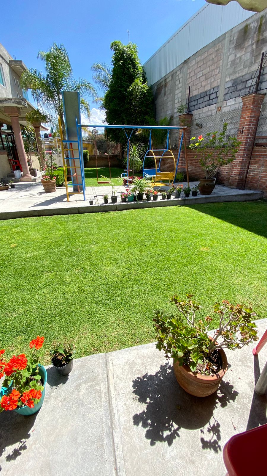 EL BORREGO DE ORO image 5