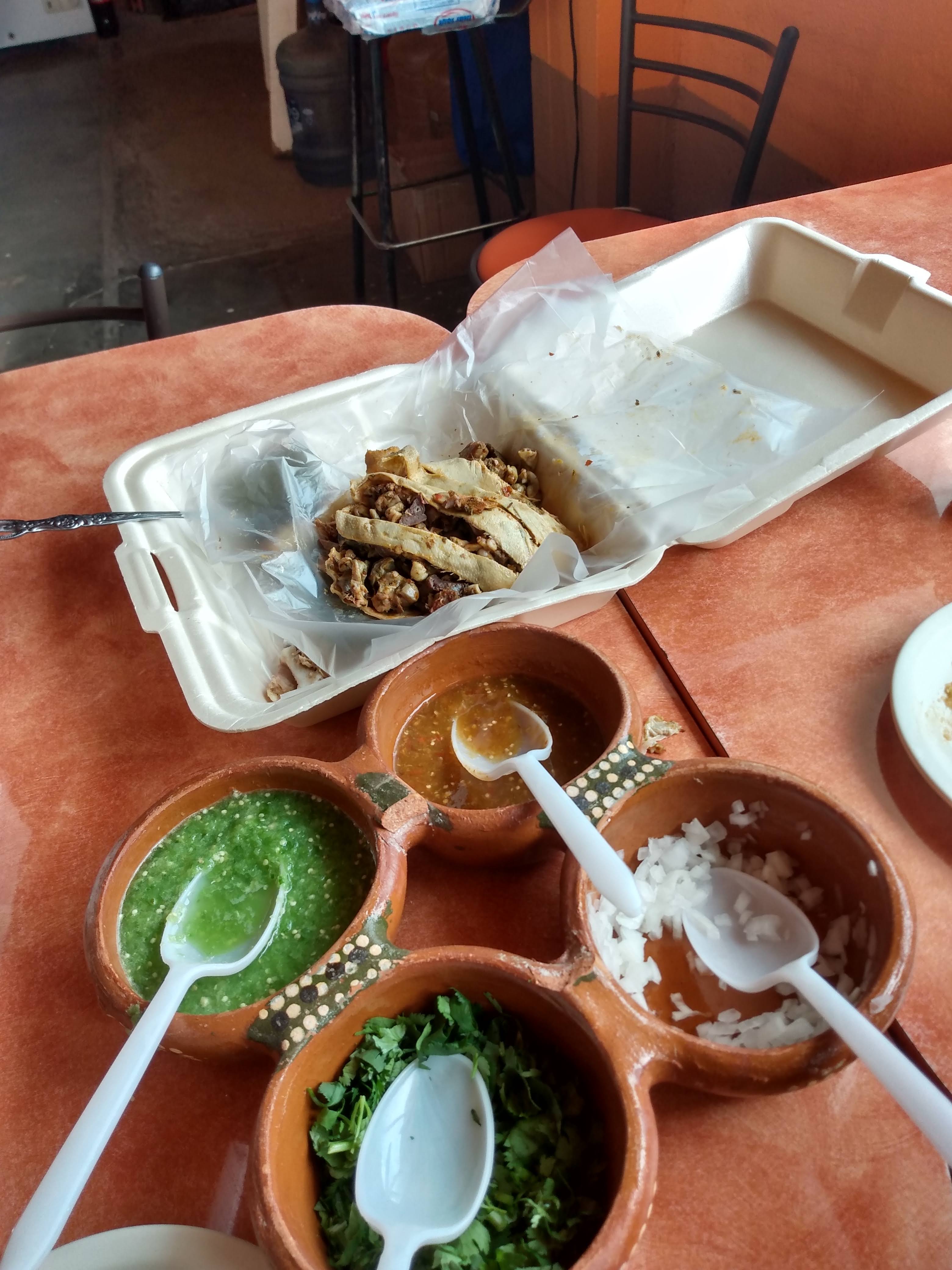 EL BORREGO DE ORO image 8