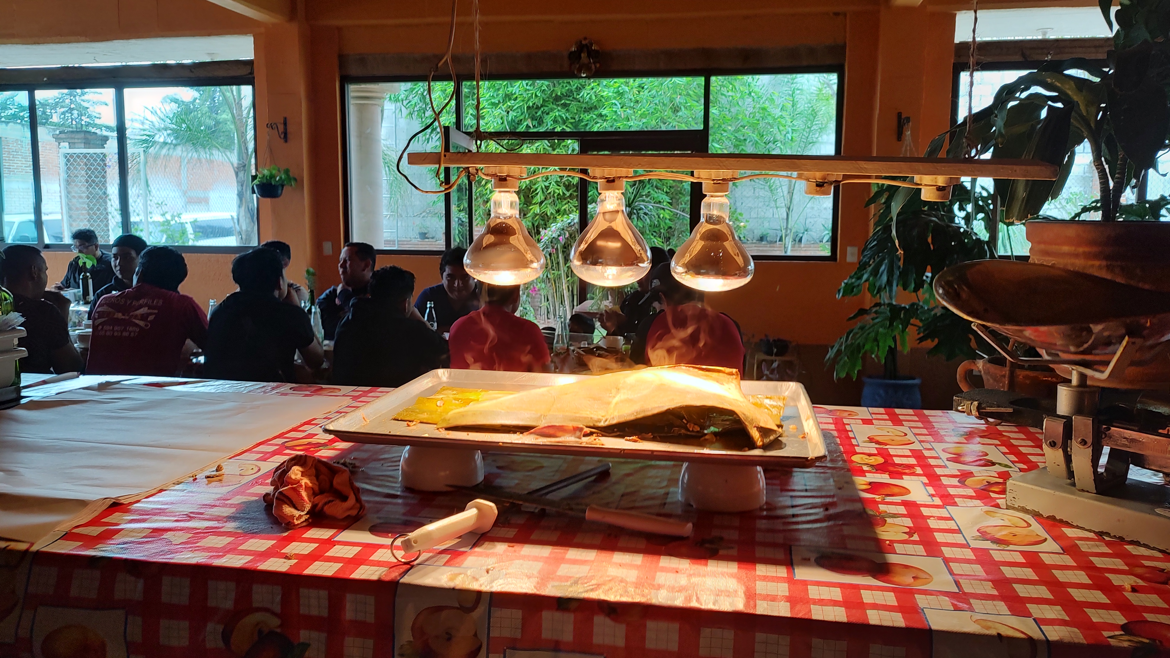 EL BORREGO DE ORO image 9