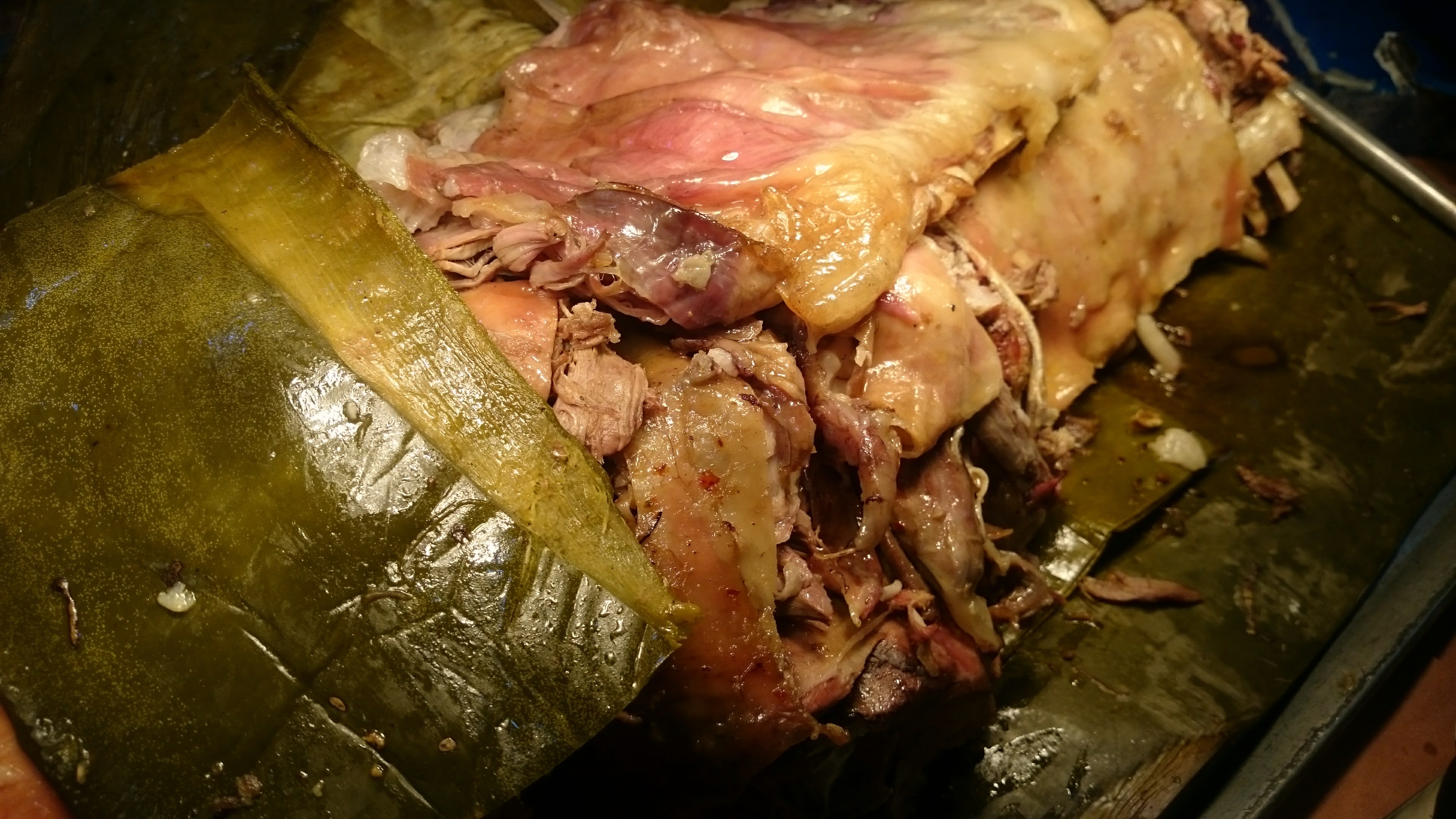 EL BORREGO DE ORO image 10