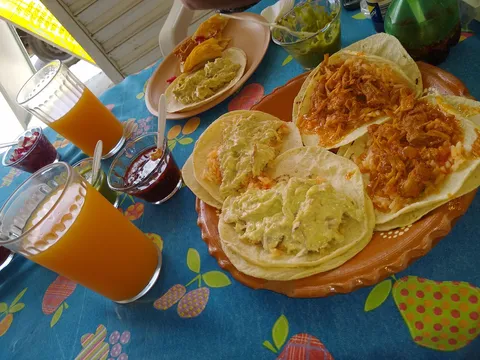 Don Taco Tacos De Guisado image 4